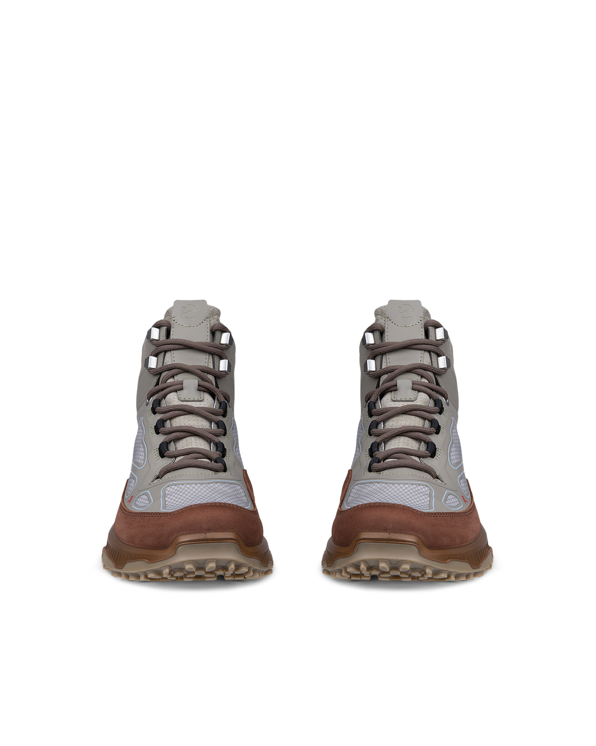 ECCO Receptor Xp — Green