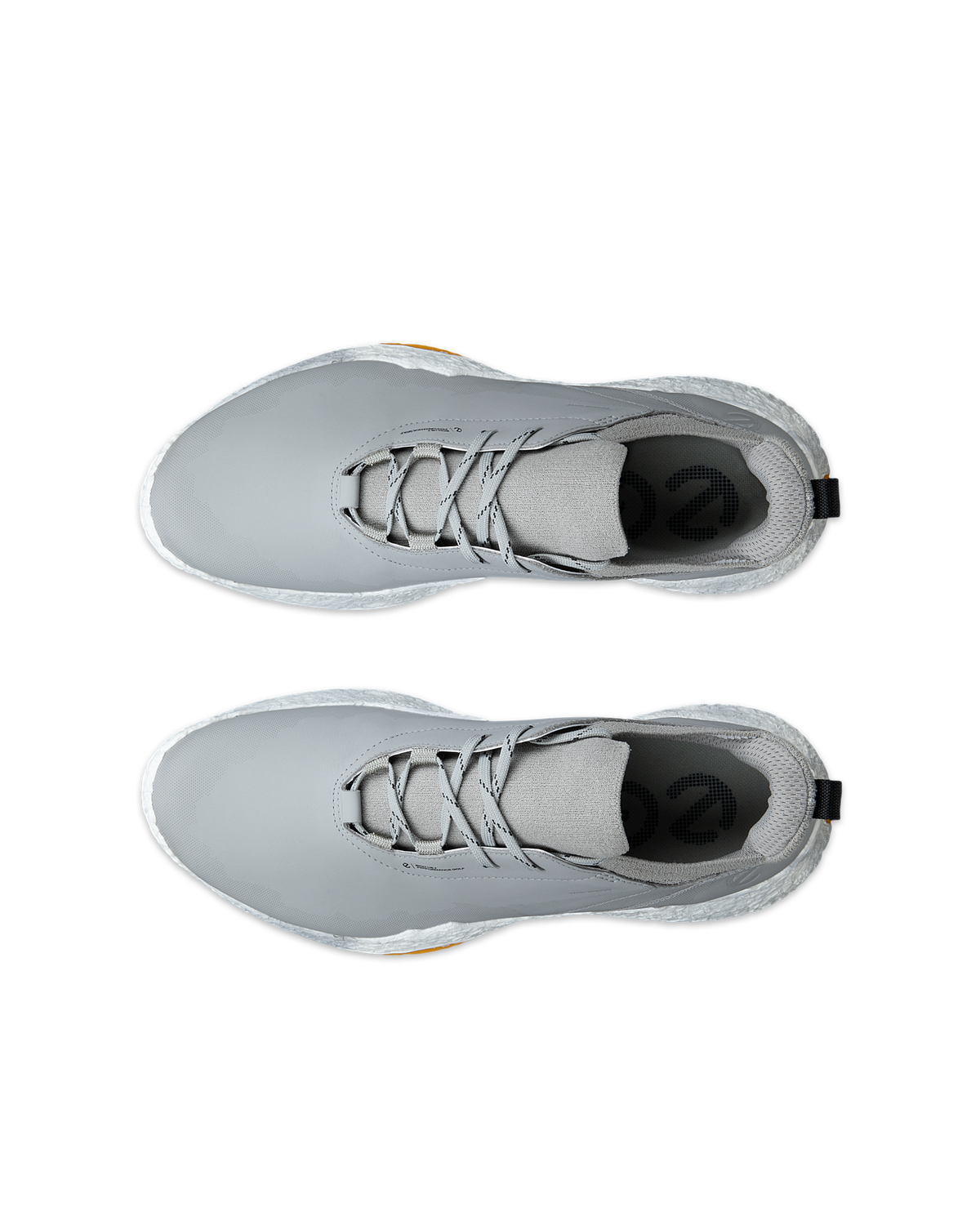 ECCO GOLF BIOM H5 — Grey