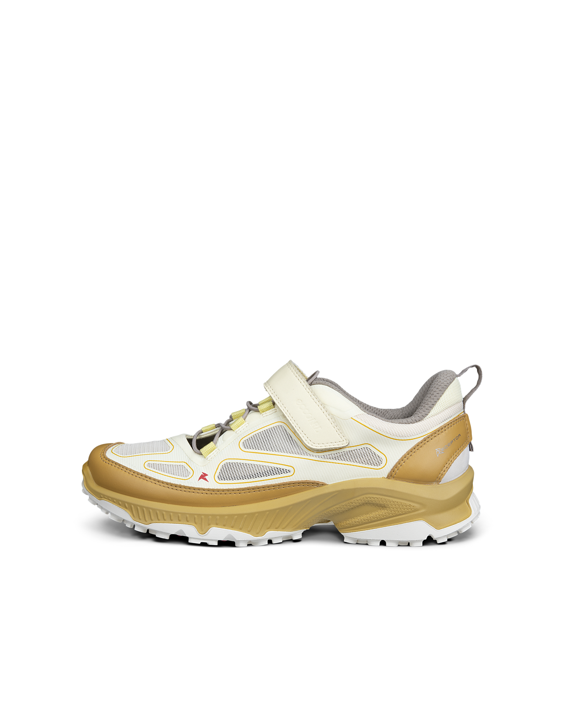 ECCO Receptor Xp — Yellow