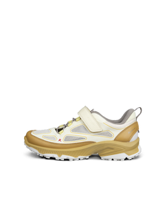 ECCO Receptor Xp — Yellow 1