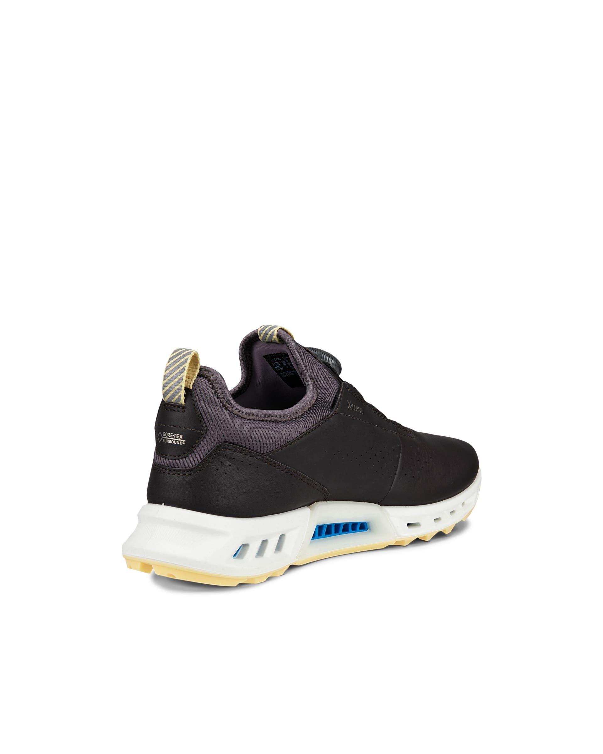 ECCO Golf BIOM C4 ウィメンズ レザーGore-Texゴルフシューズ | パープル ECCO Golf BIOM C4 ウィメンズ レザーGore-Texゴルフシューズ | パープル