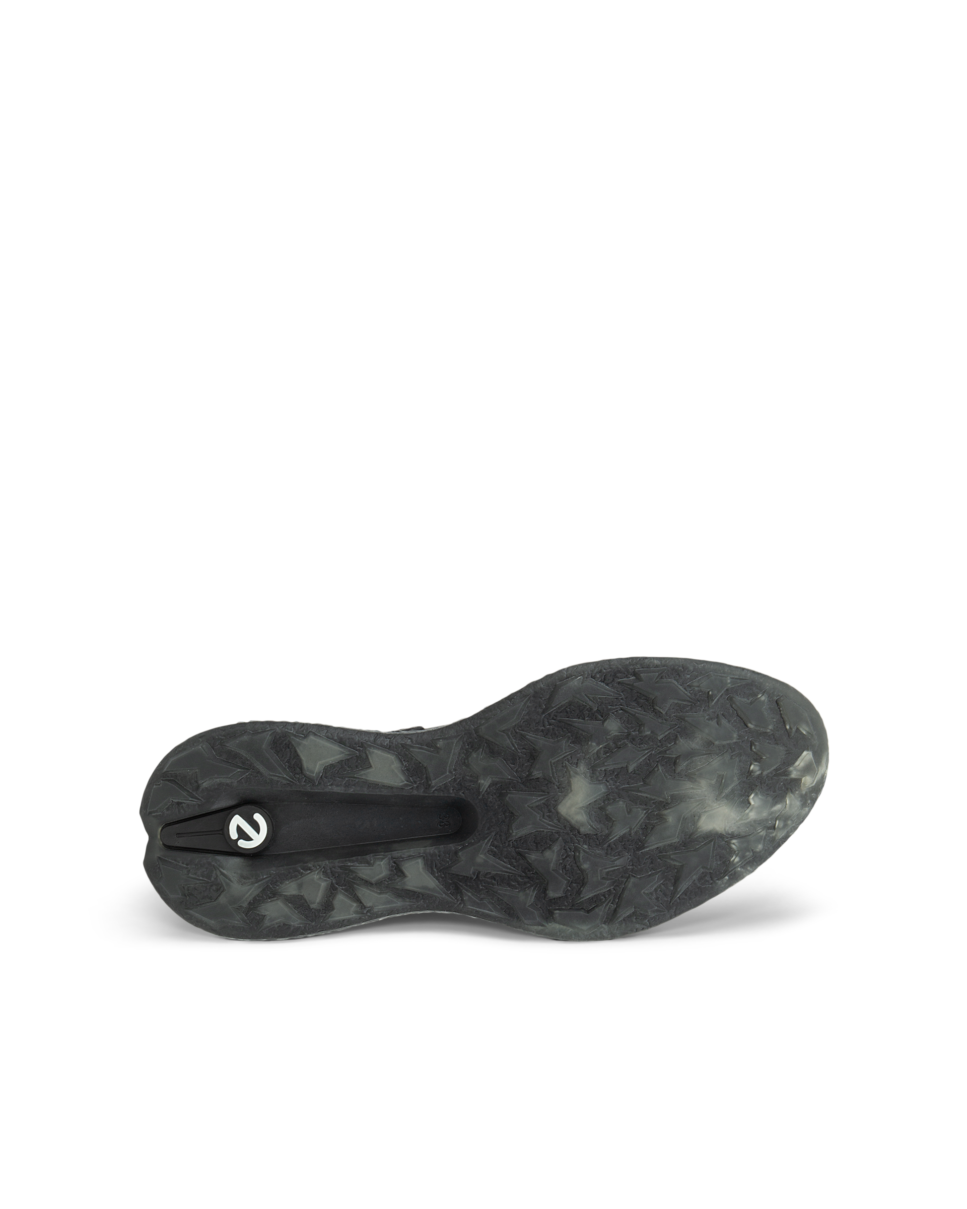 ECCO GOLF BIOM H5 — Black