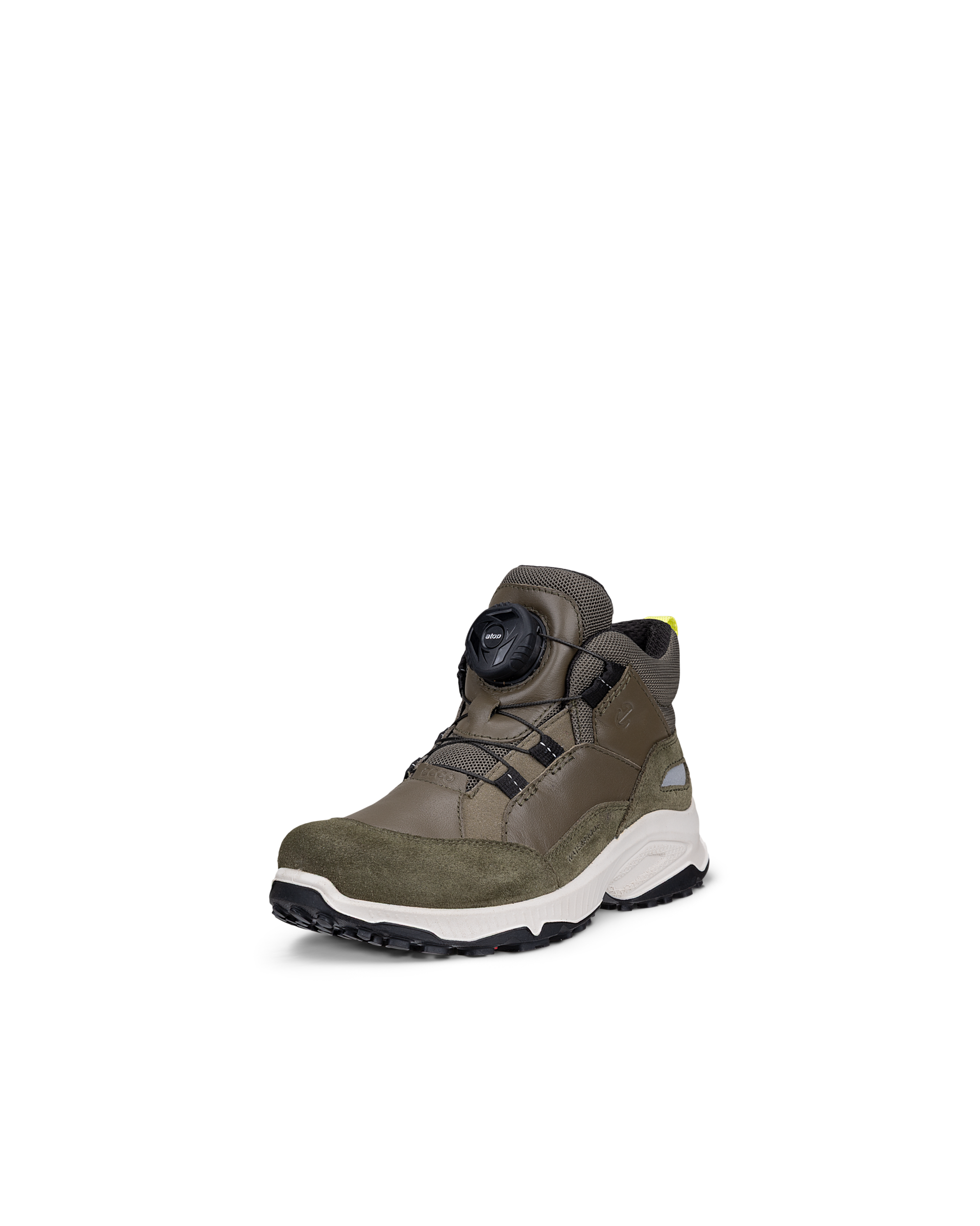 ECCO RECEPTOR XP — Green
