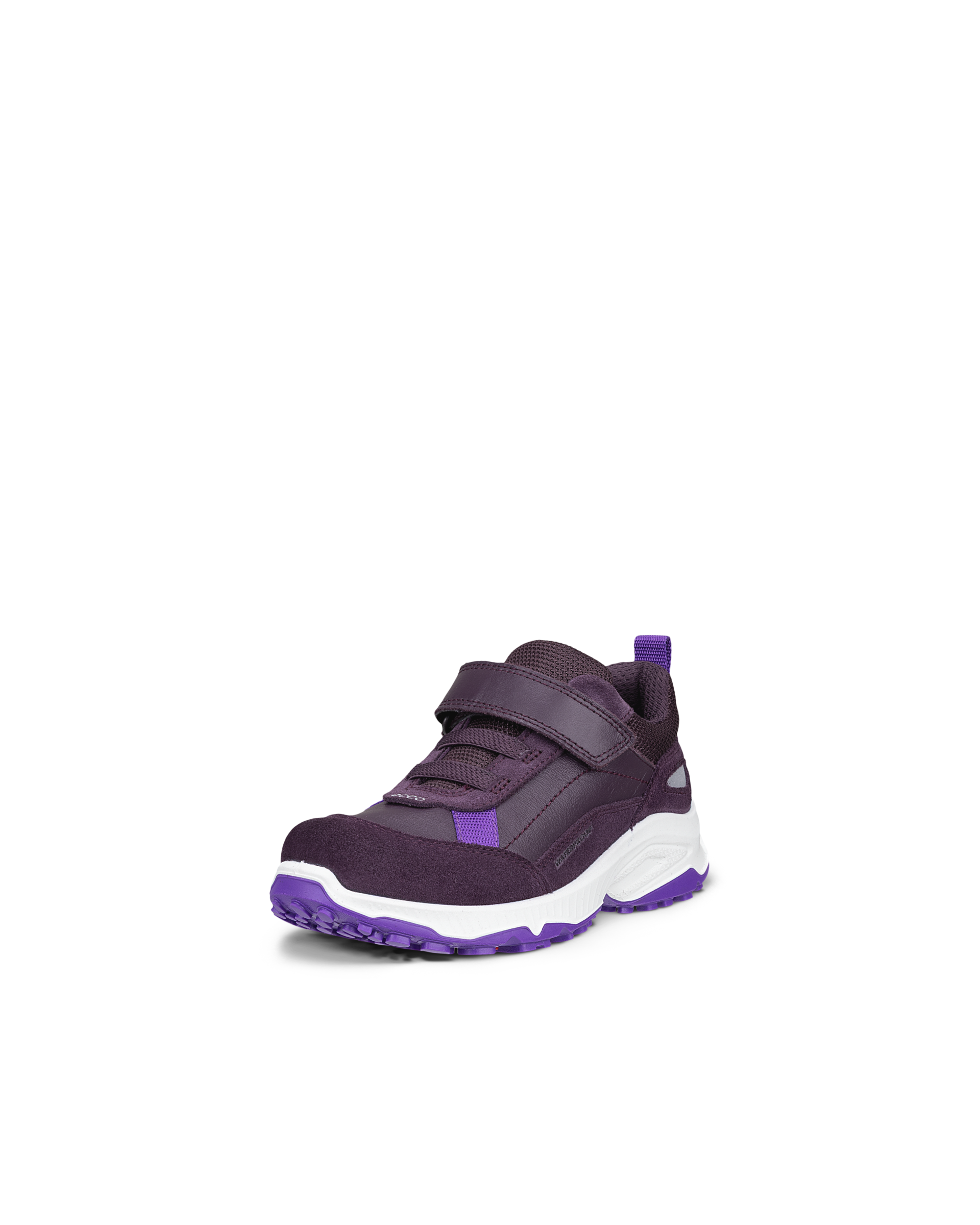 ECCO RECEPTOR XP — Purple