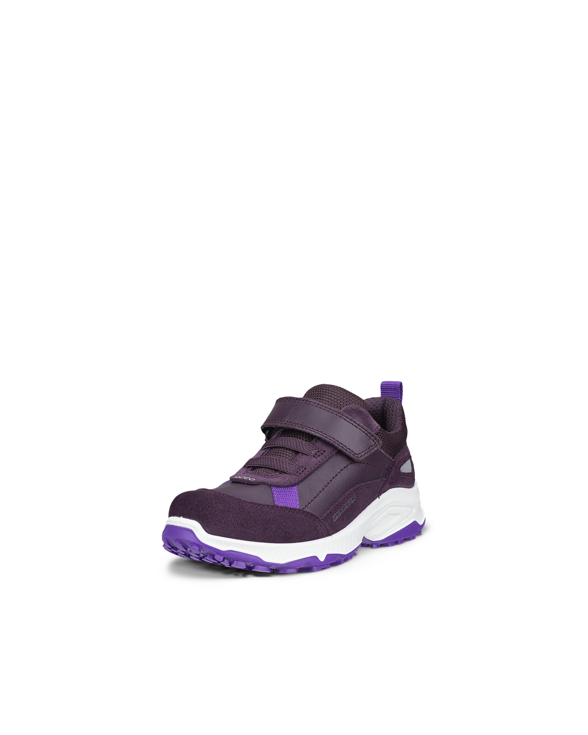 ECCO RECEPTOR XP — Purple