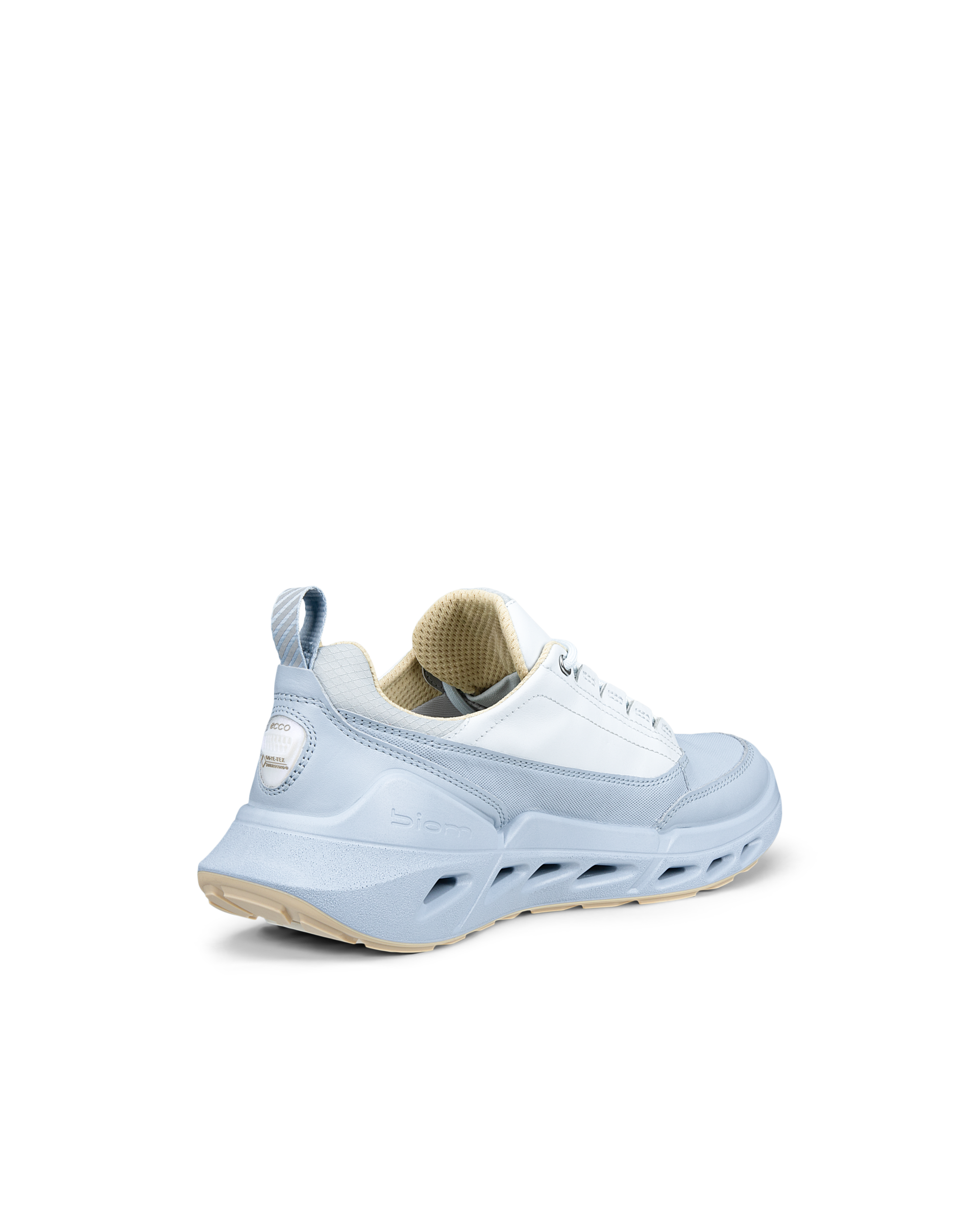 ECCO Biom 720 Gore-Tex — Blue
