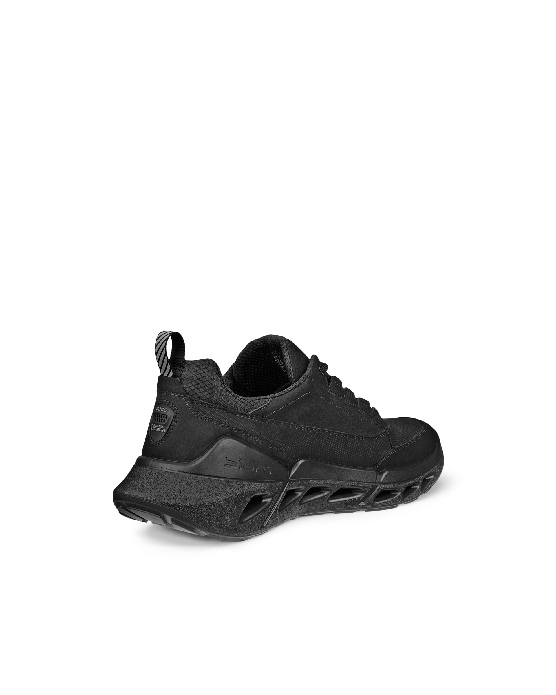 Men's ECCO® Biom 720 Gore-Tex | Black