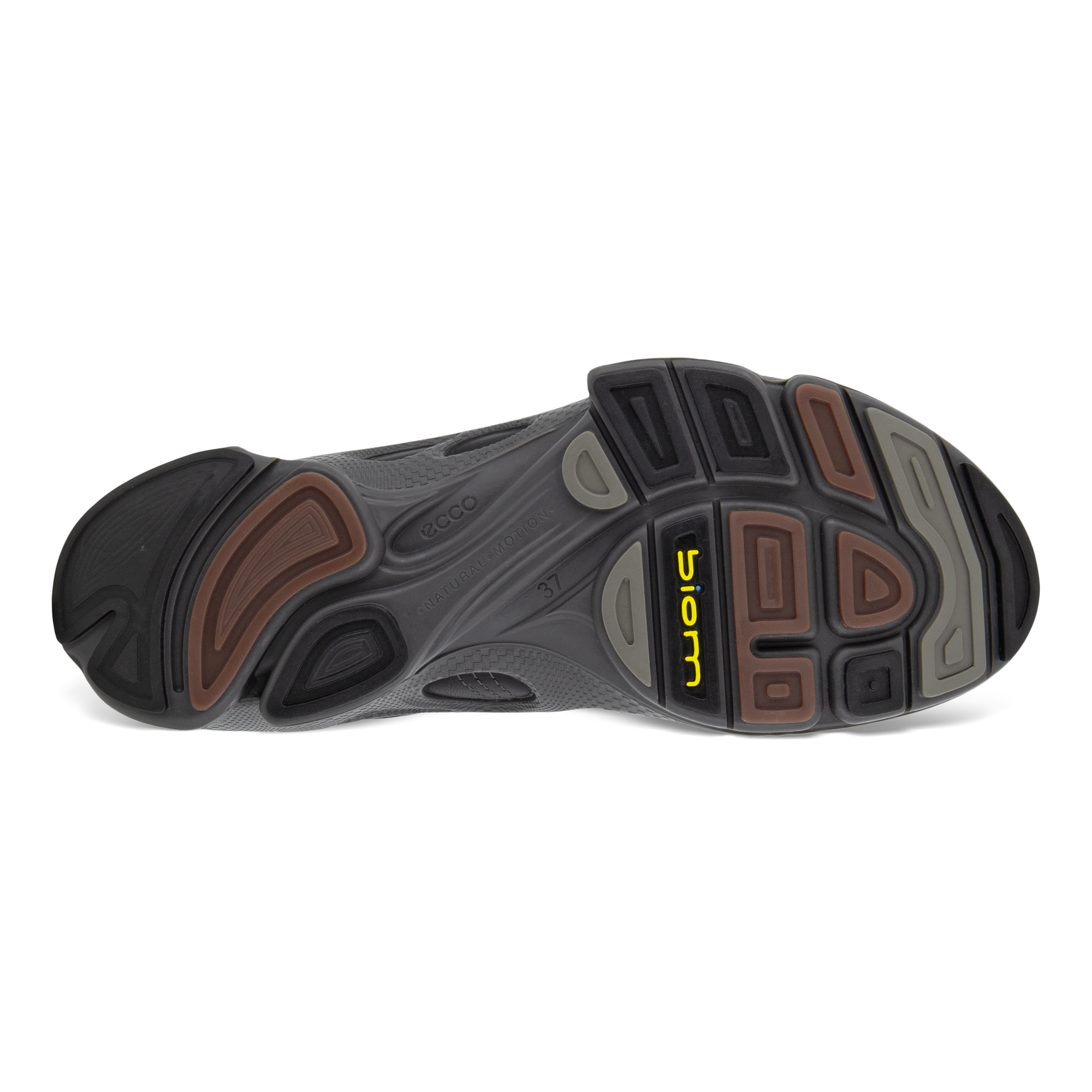 ECCO BIOM C Low ウィメンズ レザースニーカー | ブラック