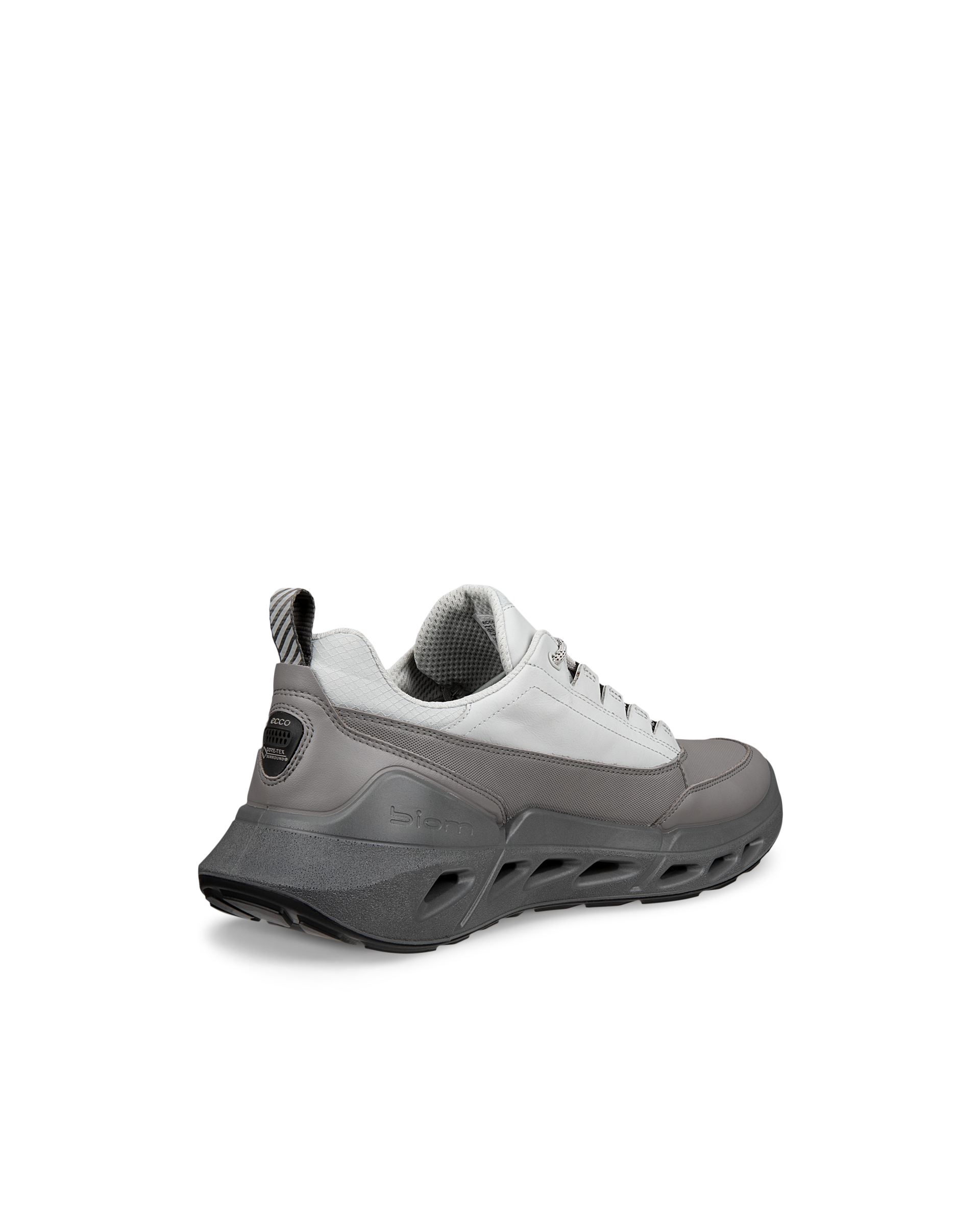 ECCO Biom 720 Gore-Tex — Gray