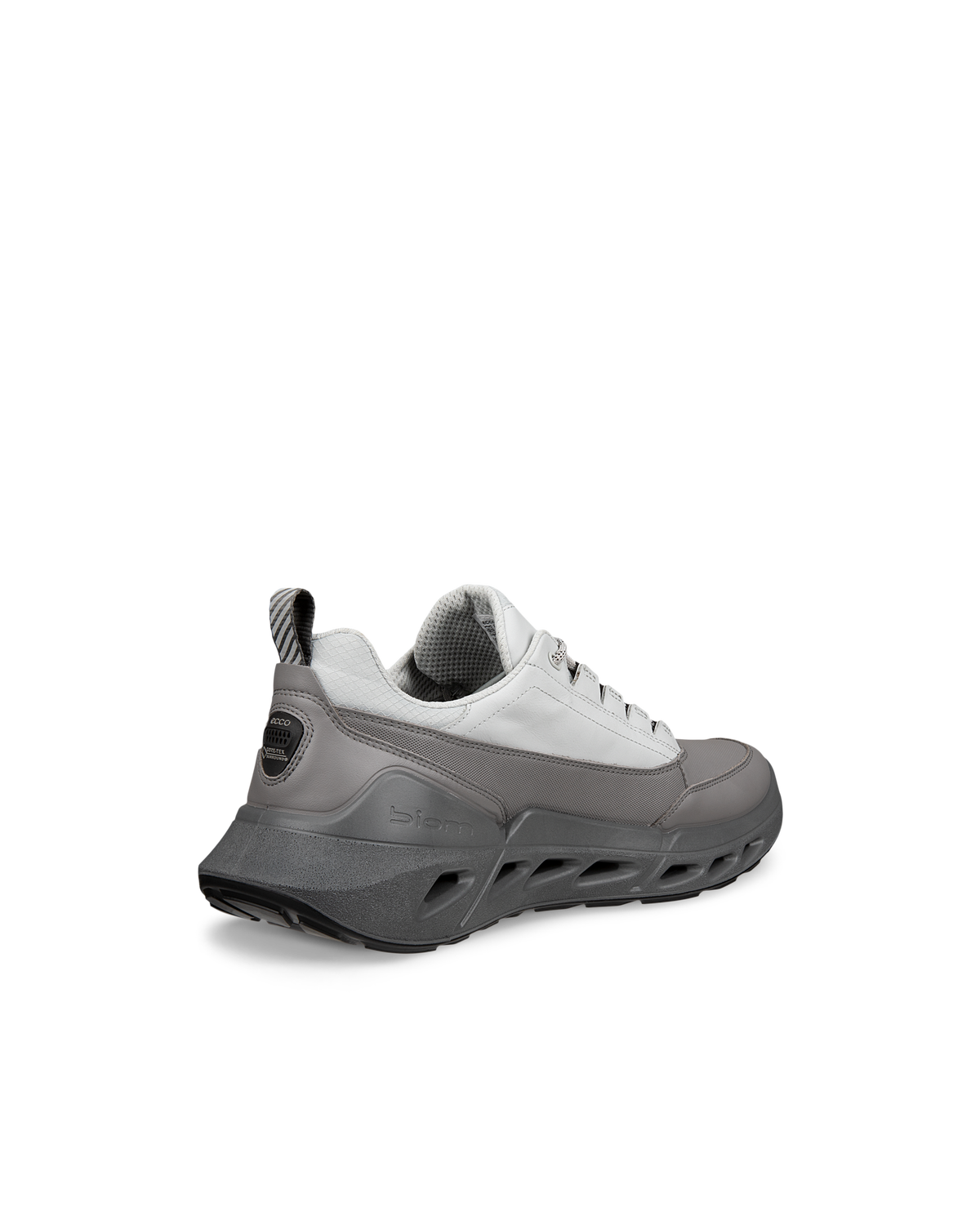 ECCO Biom 720 Gore-Tex — Gray