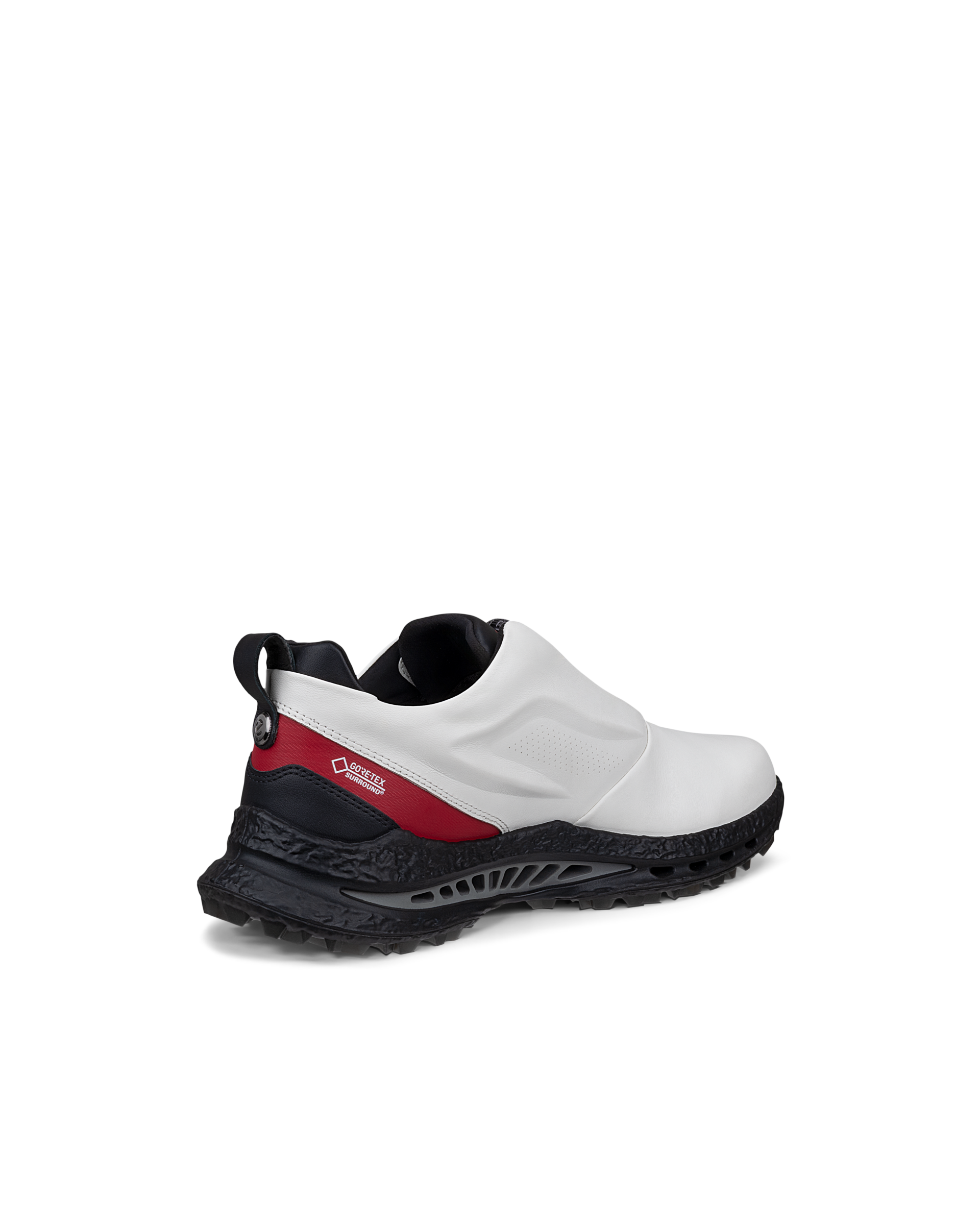 ECCO MENS GOLF BIOM C5 メンズ レザーGore-Texゴルフシューズ | ホワイト