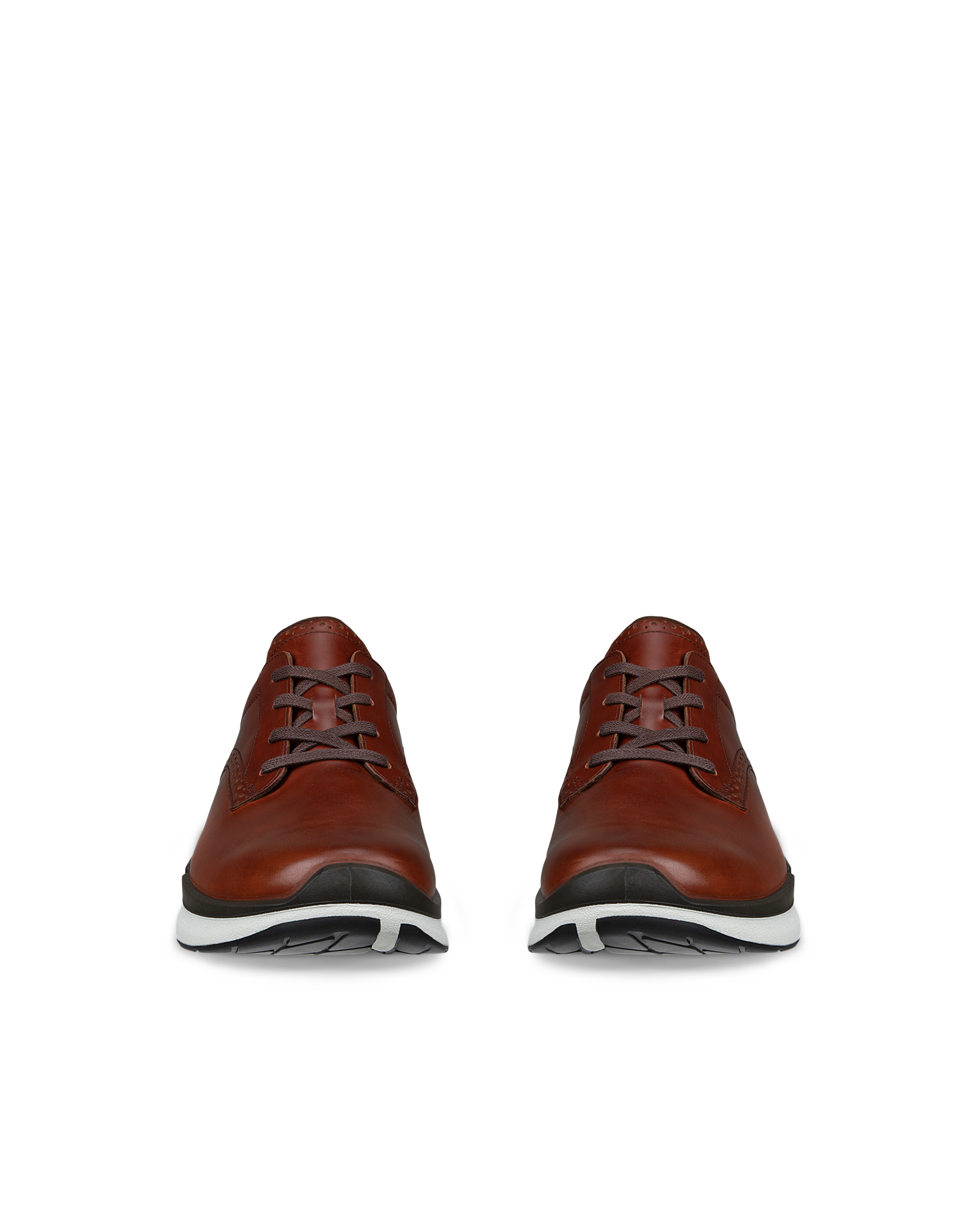 ECCO Biom 2.2 — Brown