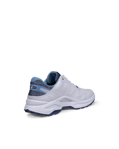 ECCO Golf Biom H6 — Gray 3