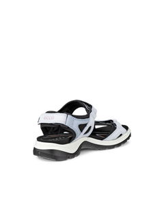 ECCO Offroad — Blue 3