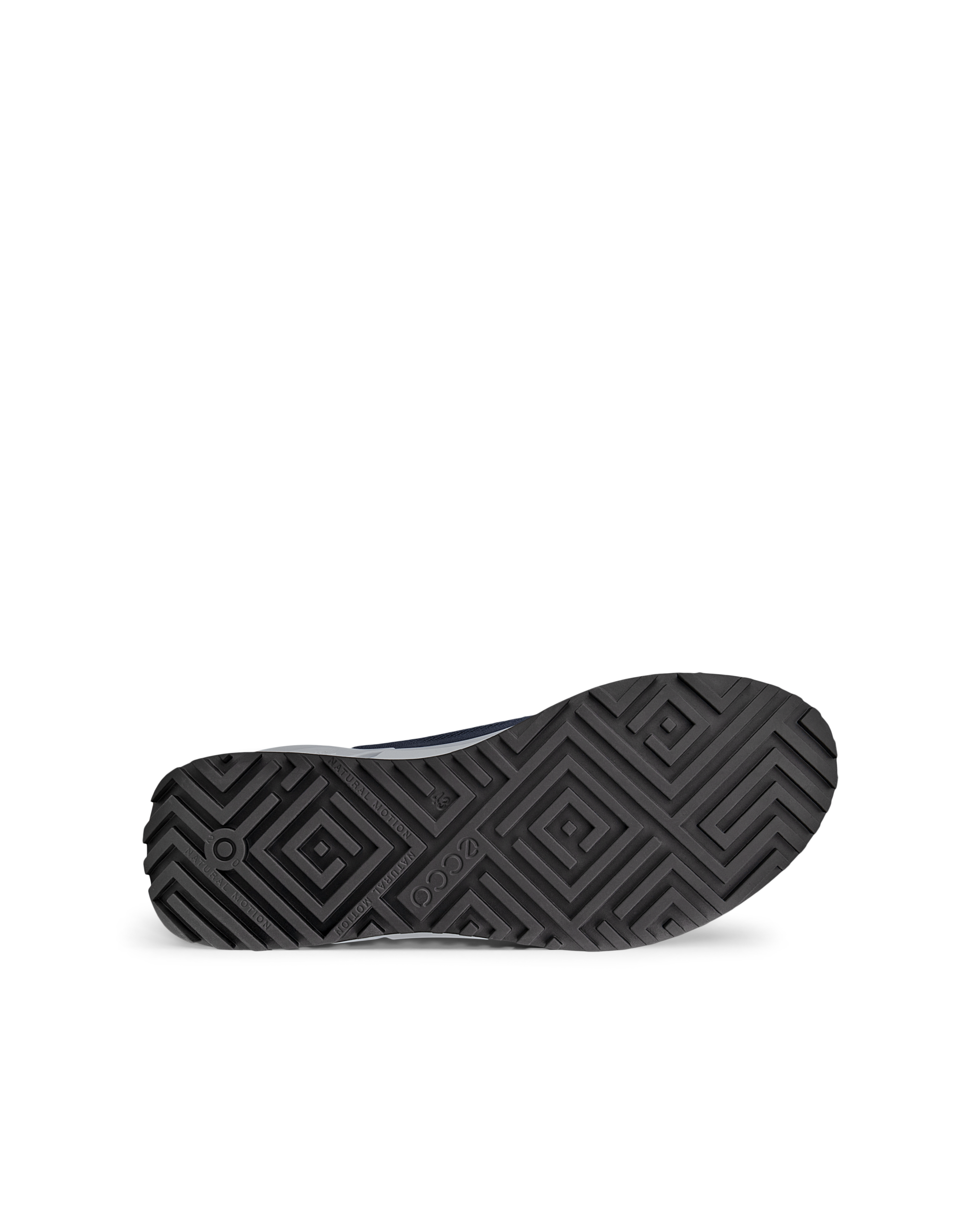 ECCO Biom 2.0 — Blue