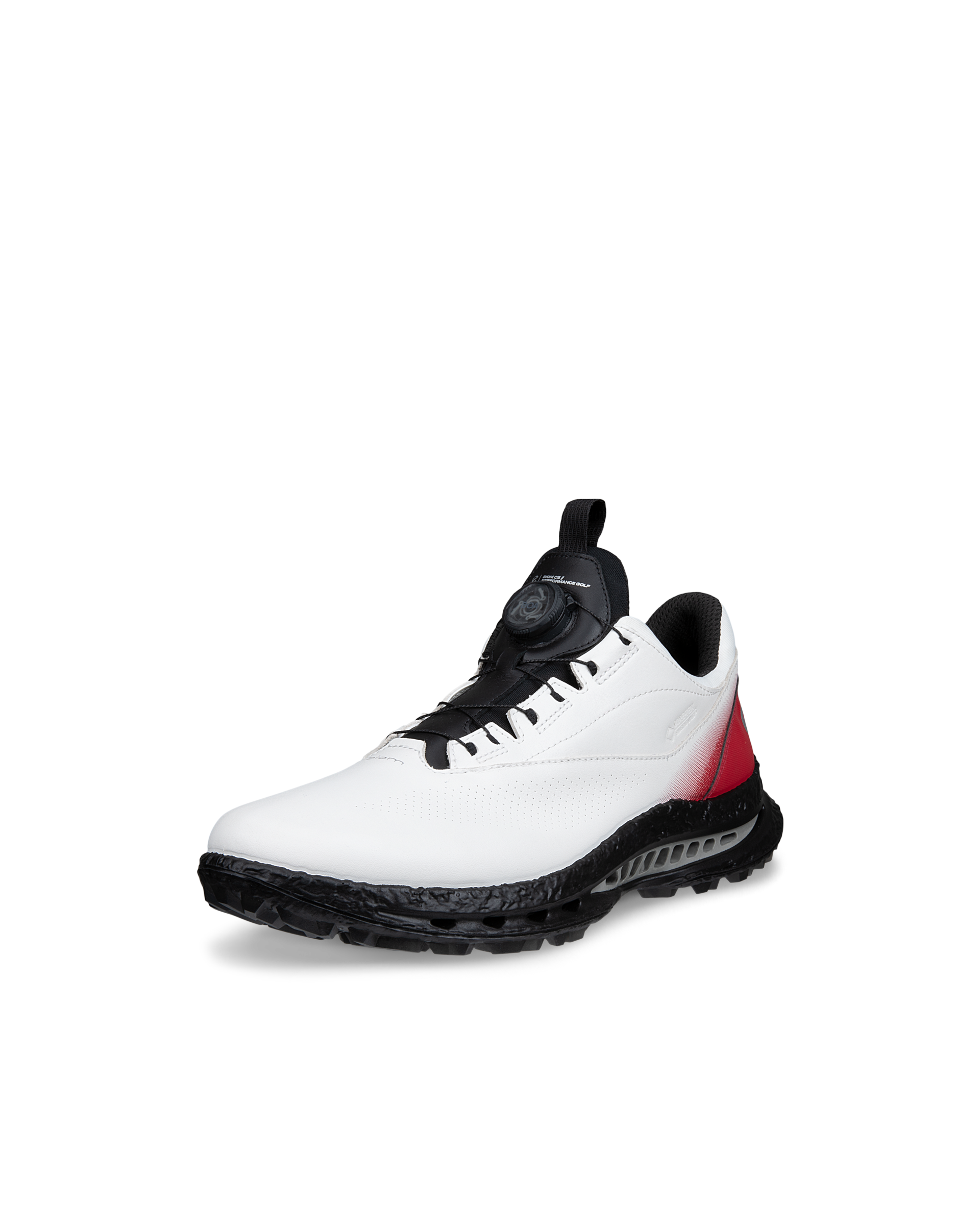 ECCO Golf Biom C5 — White (alternate view)