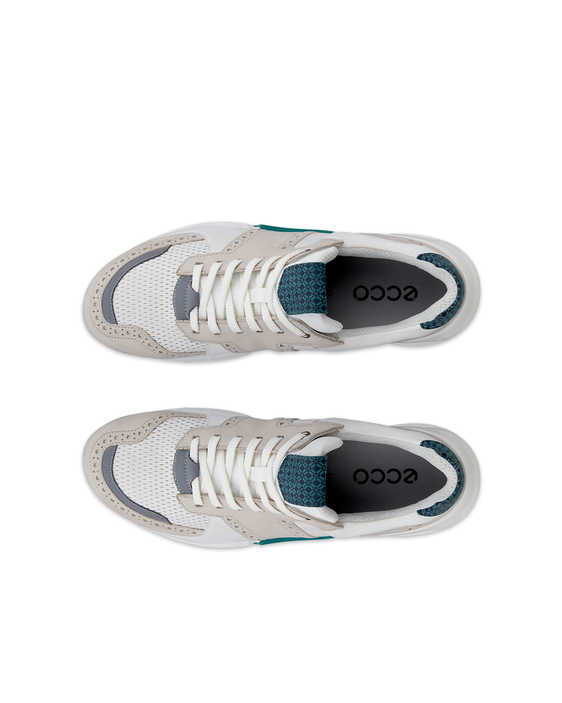 ECCO GOLF BIOM C4 MEN メンズ レザーGore-Texゴルフシューズ | ホワイト