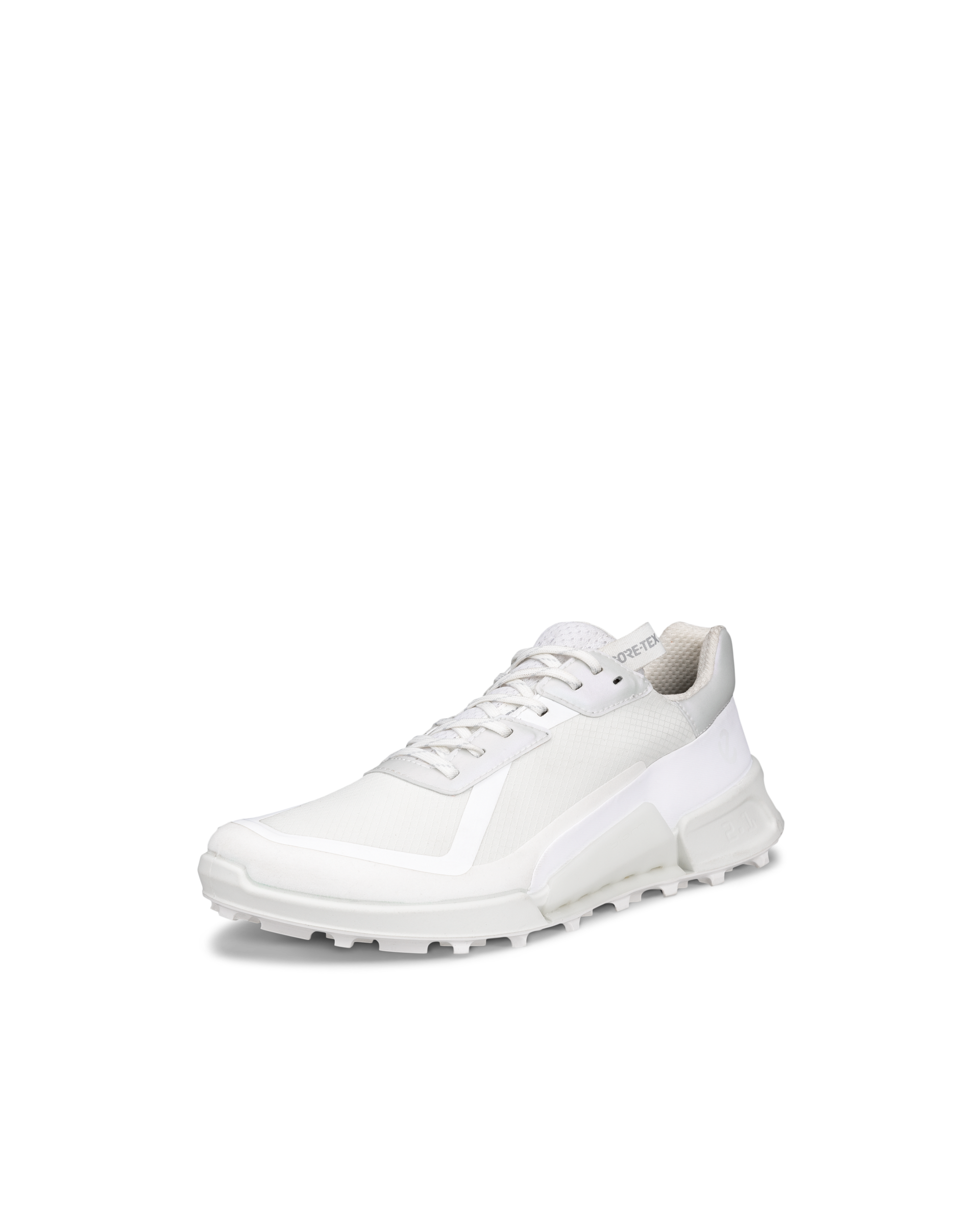 ECCO BIOM 2.1 X Country Low ウィメンズ テキスタイルGore-Tex