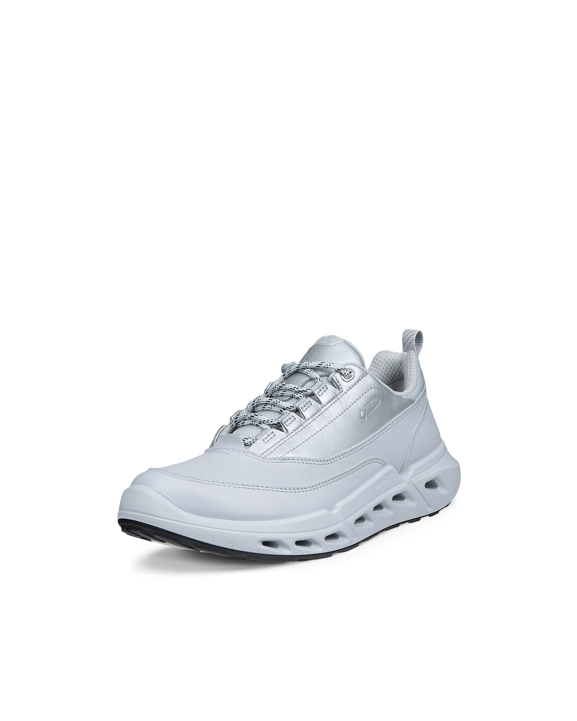 ECCO Biom 720 Gore-Tex — Gray