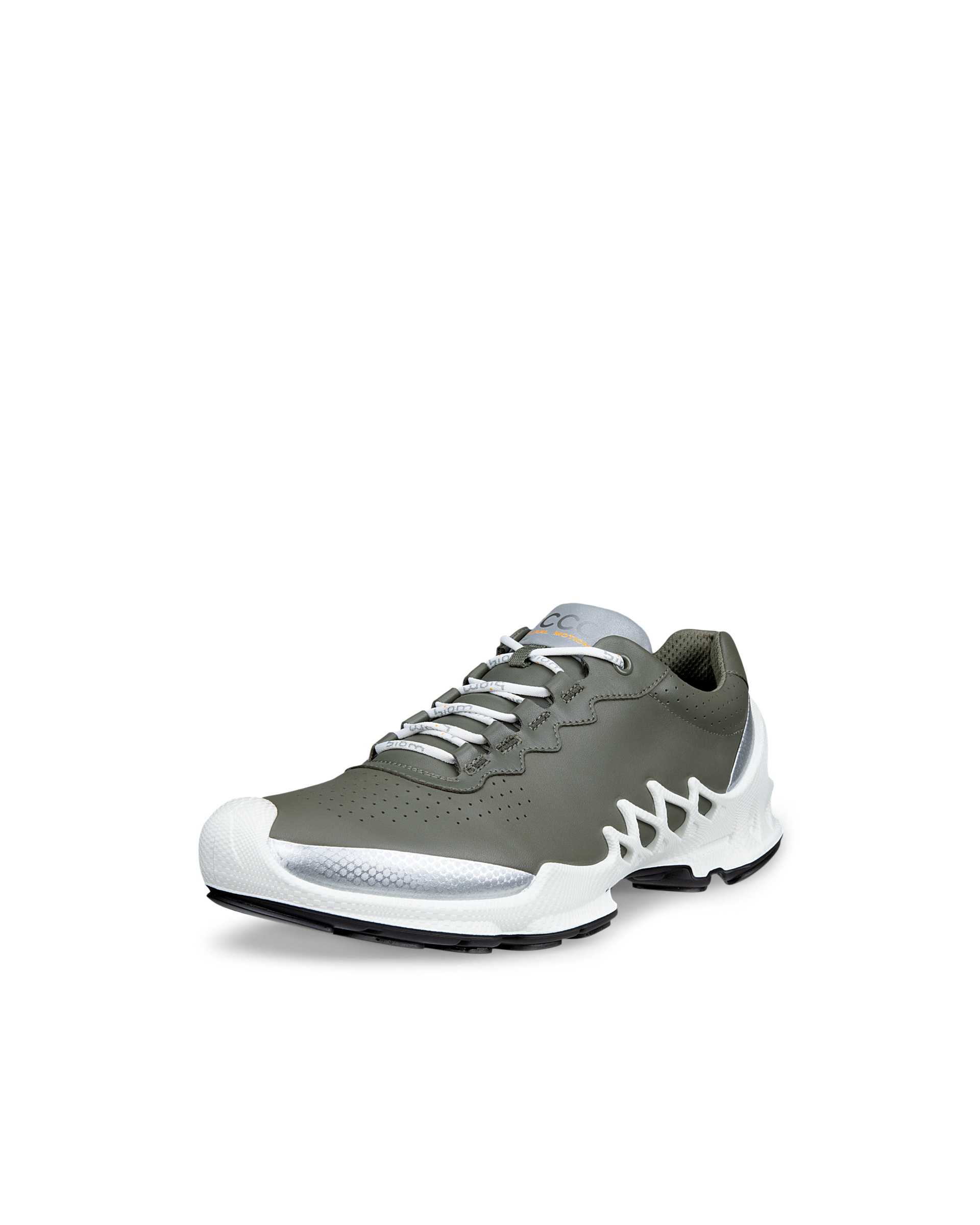 ECCO BIOM AEX — Green