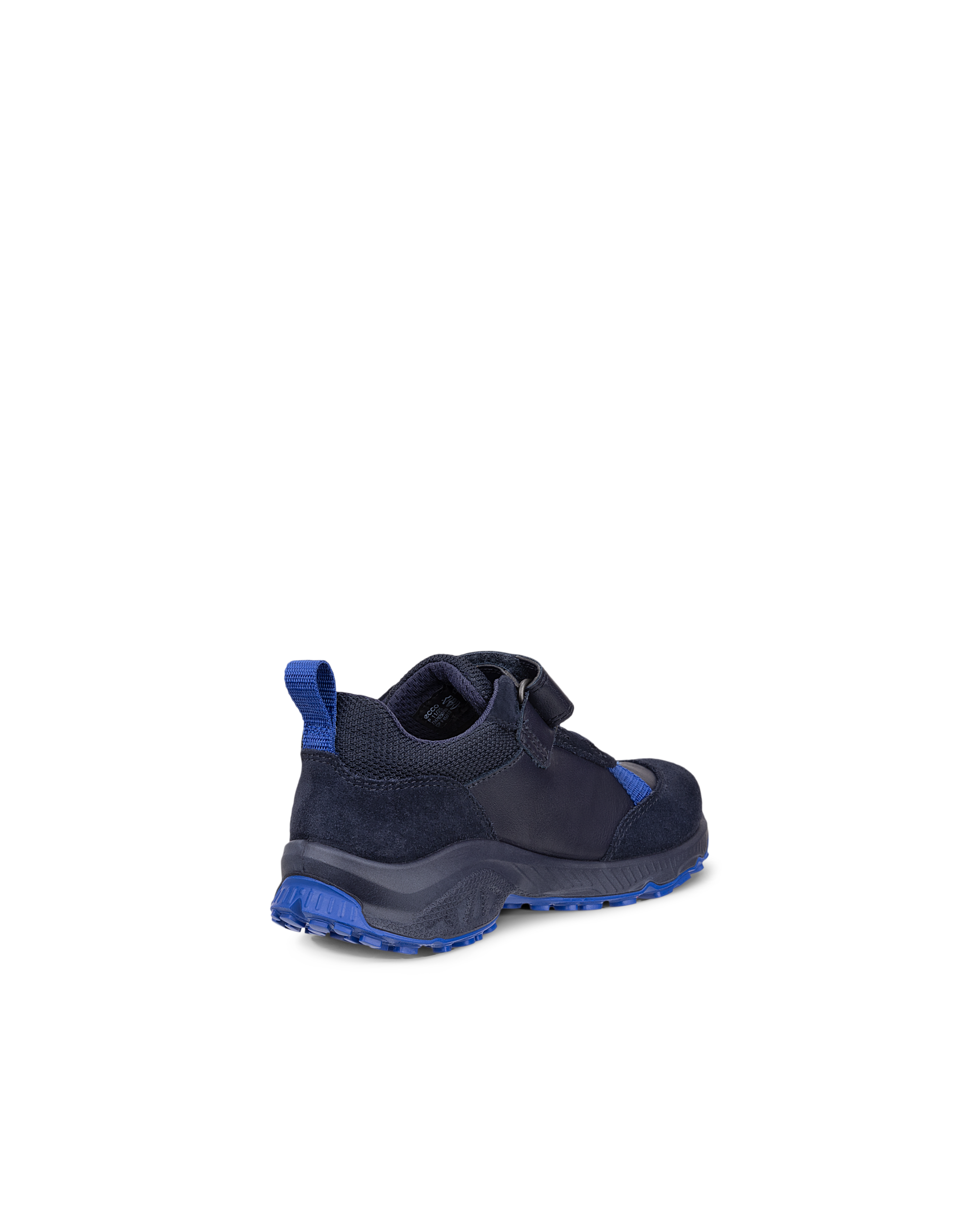ECCO RECEPTOR XP — Blue