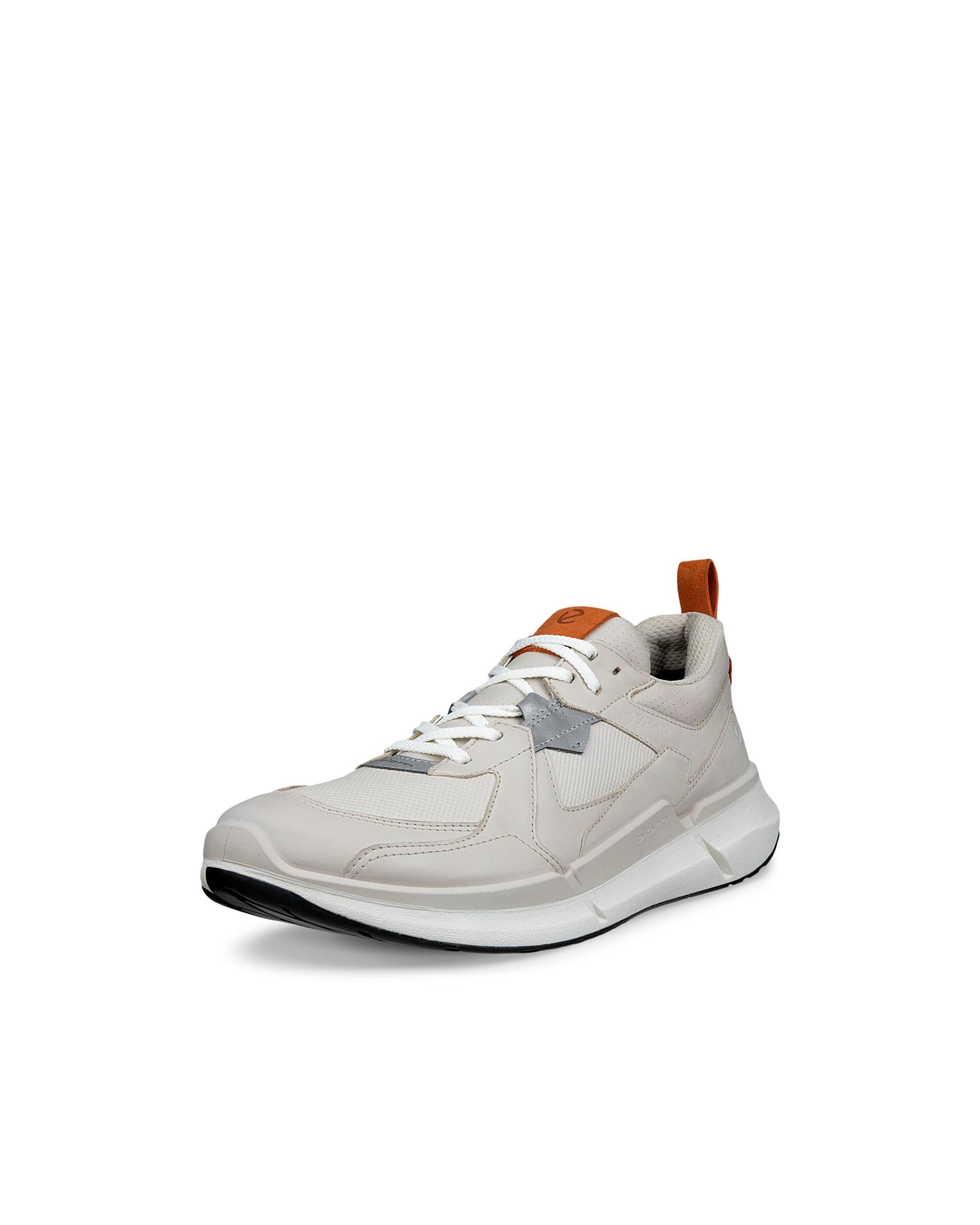 ECCO BIOM 2.2 Men メンズ レザーGore-Texスニーカー | グレー