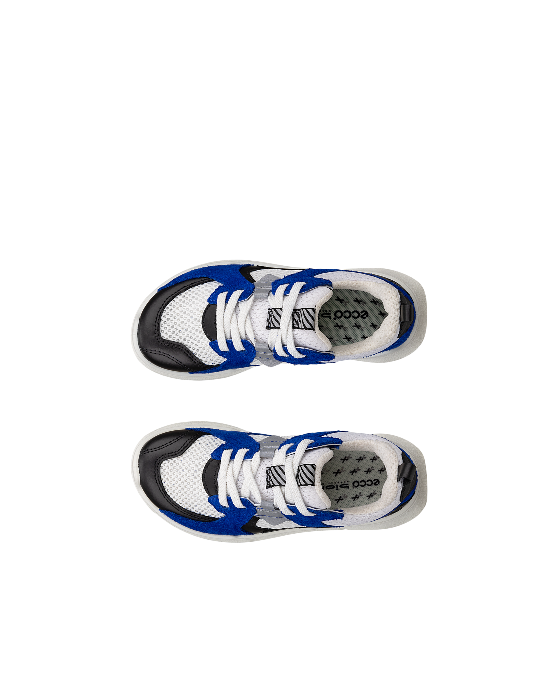 ECCO BIOM 2.2 — Blue