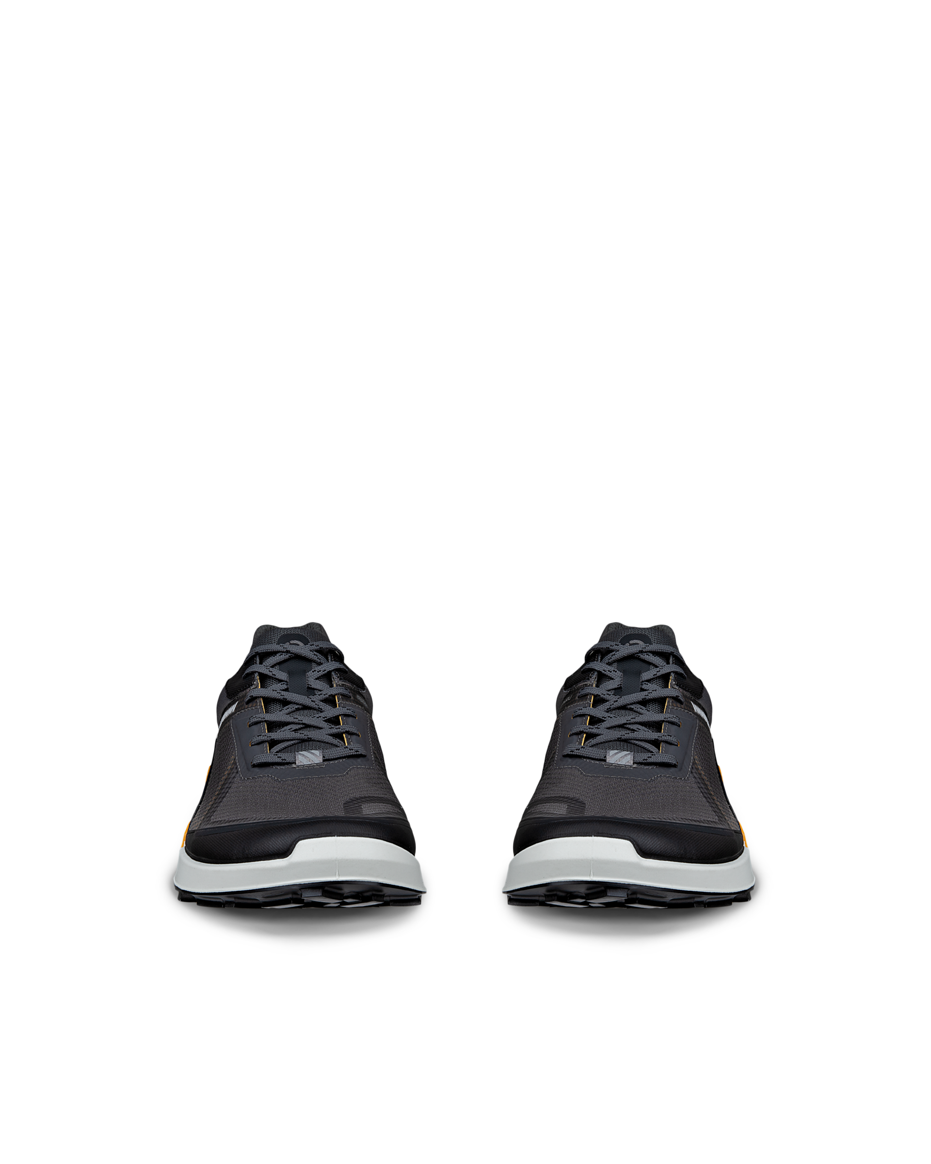ECCO BIOM 2.1 X MOUNTAIN — Grey