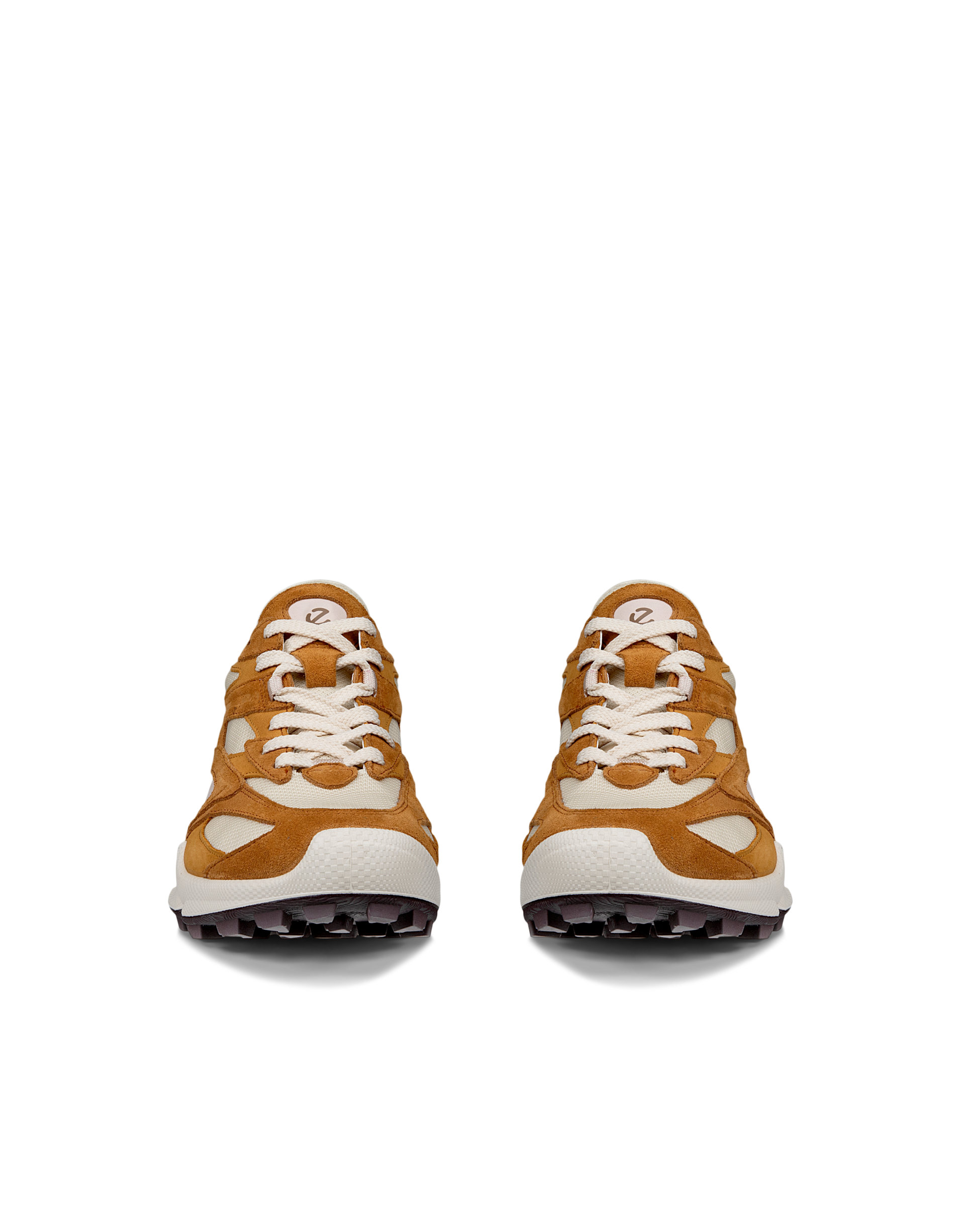 ECCO BIOM C-TRAIL — Brown