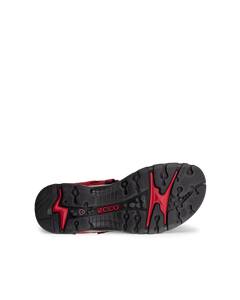 ECCO Offroad — Red 5