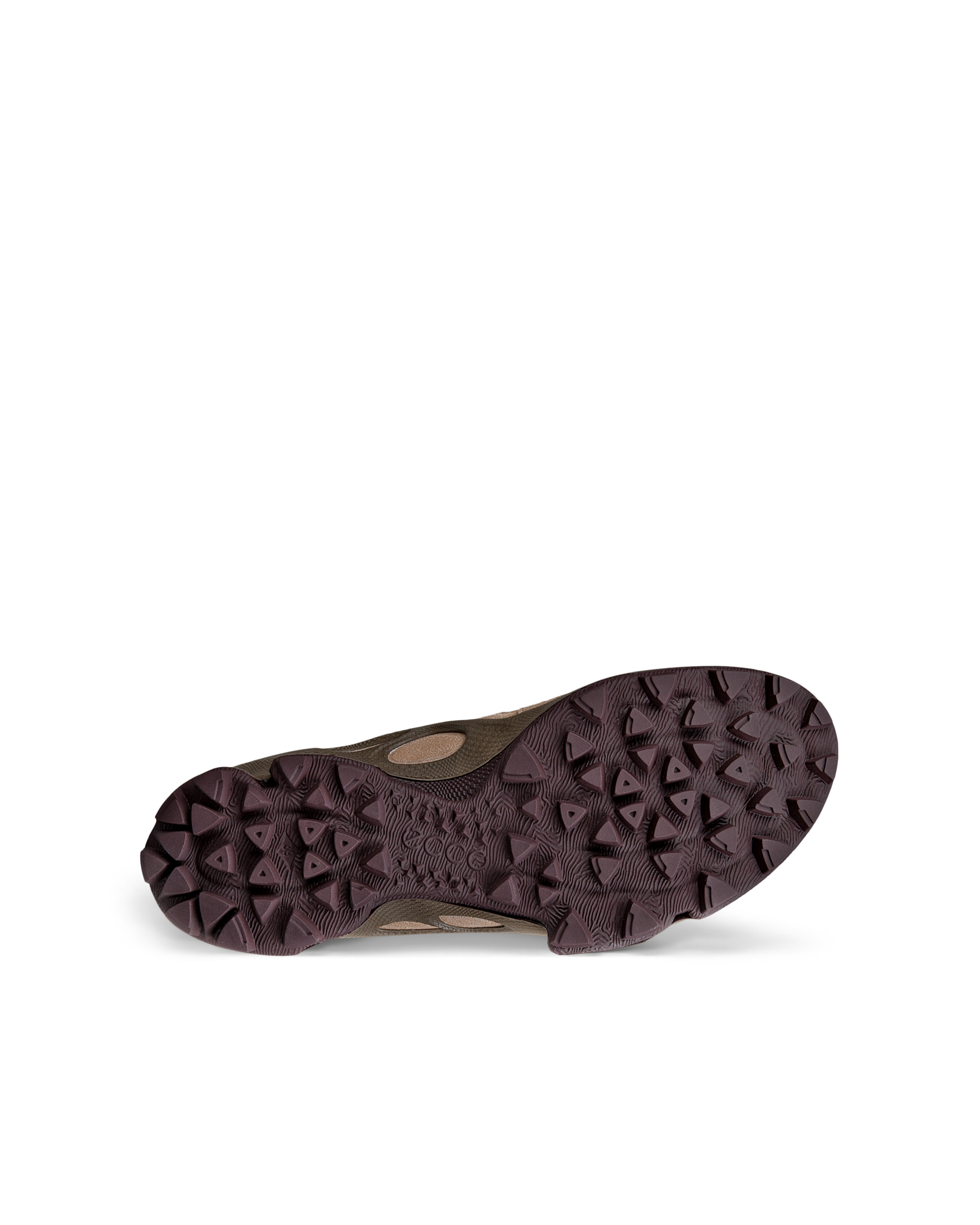 ECCO BIOM C-TRAIL — Brown
