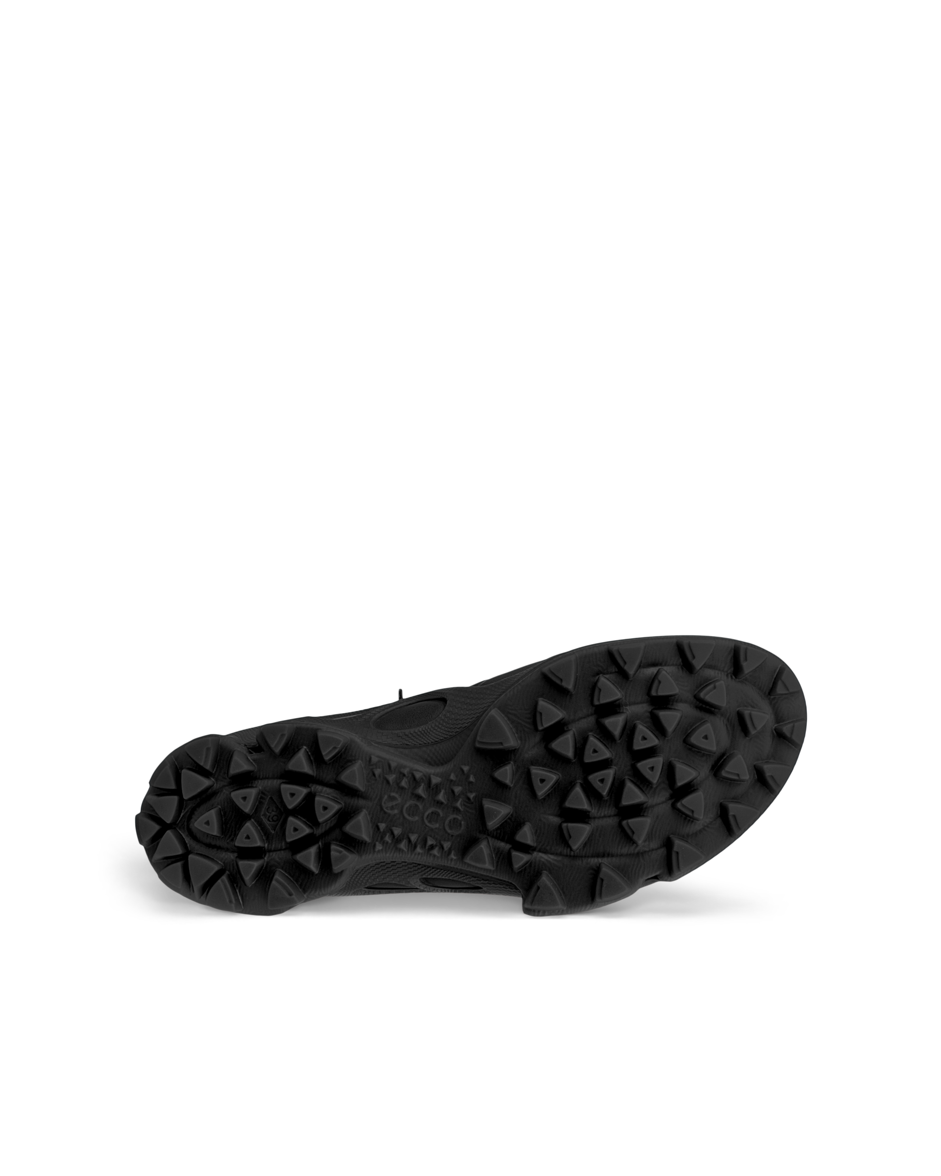 ECCO BIOM C-TRAIL — Black