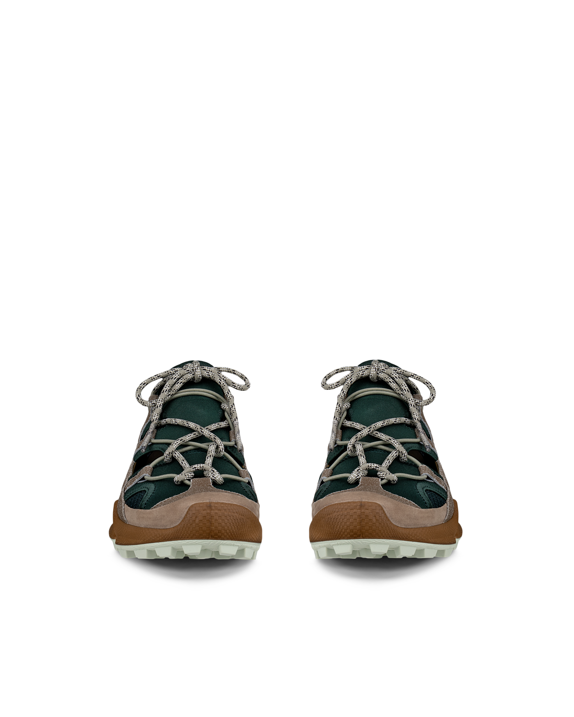 ECCO BIOM C-TRAIL — Brown