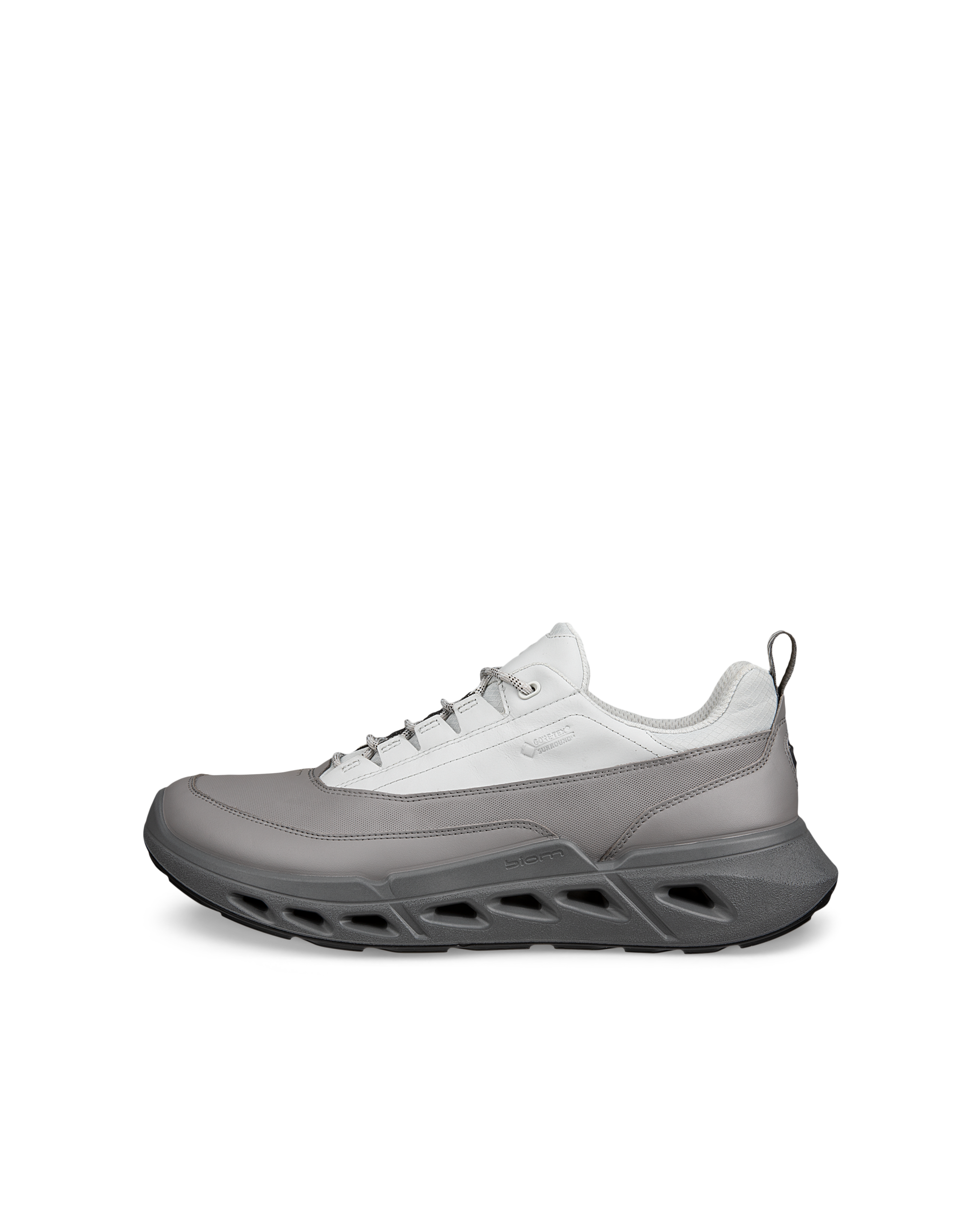 ECCO Biom 720 Gore-Tex — Gray
