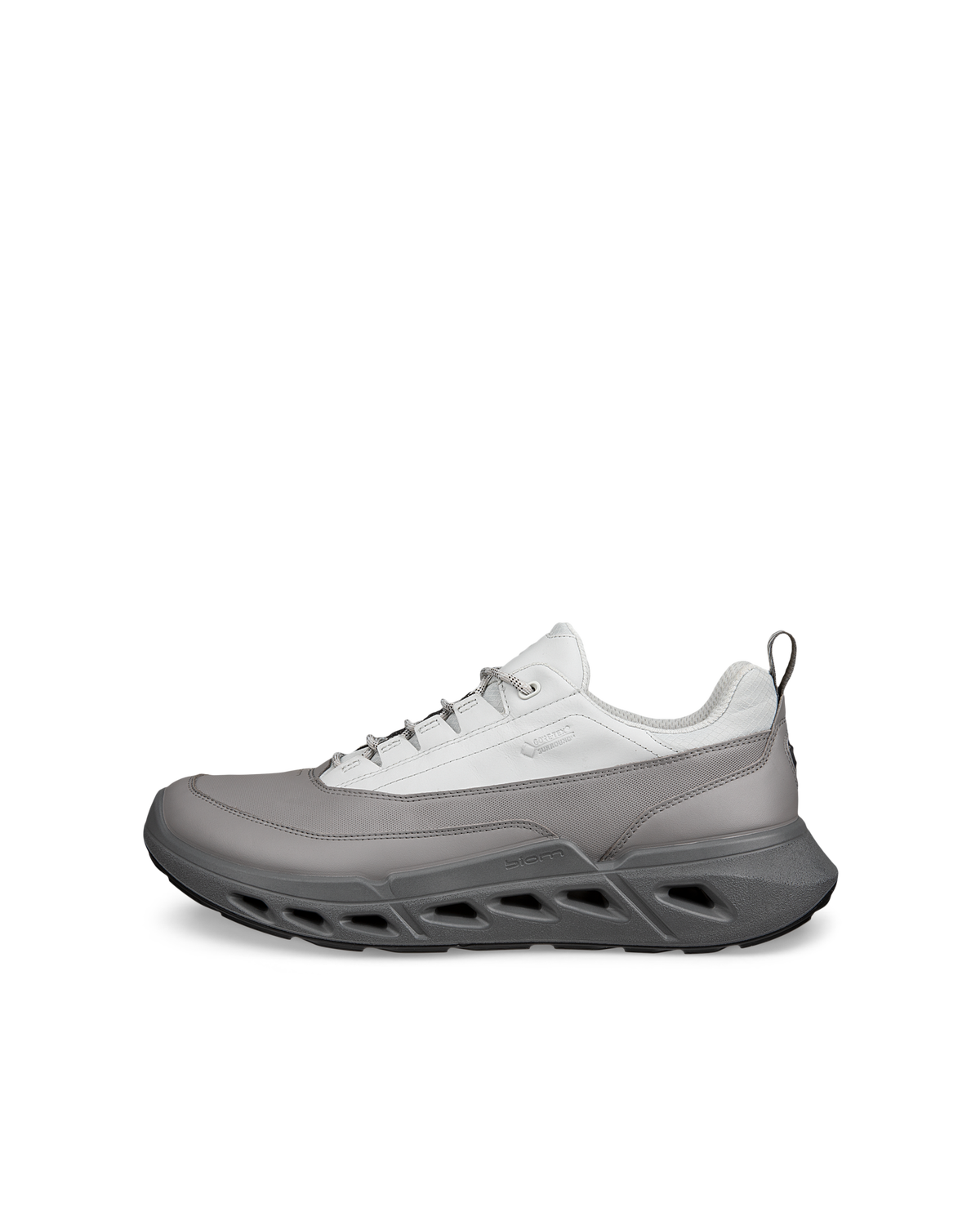 ECCO Biom 720 Gore-Tex — Gray