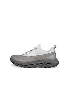 ECCO Biom 720 Gore-Tex — Gray 1