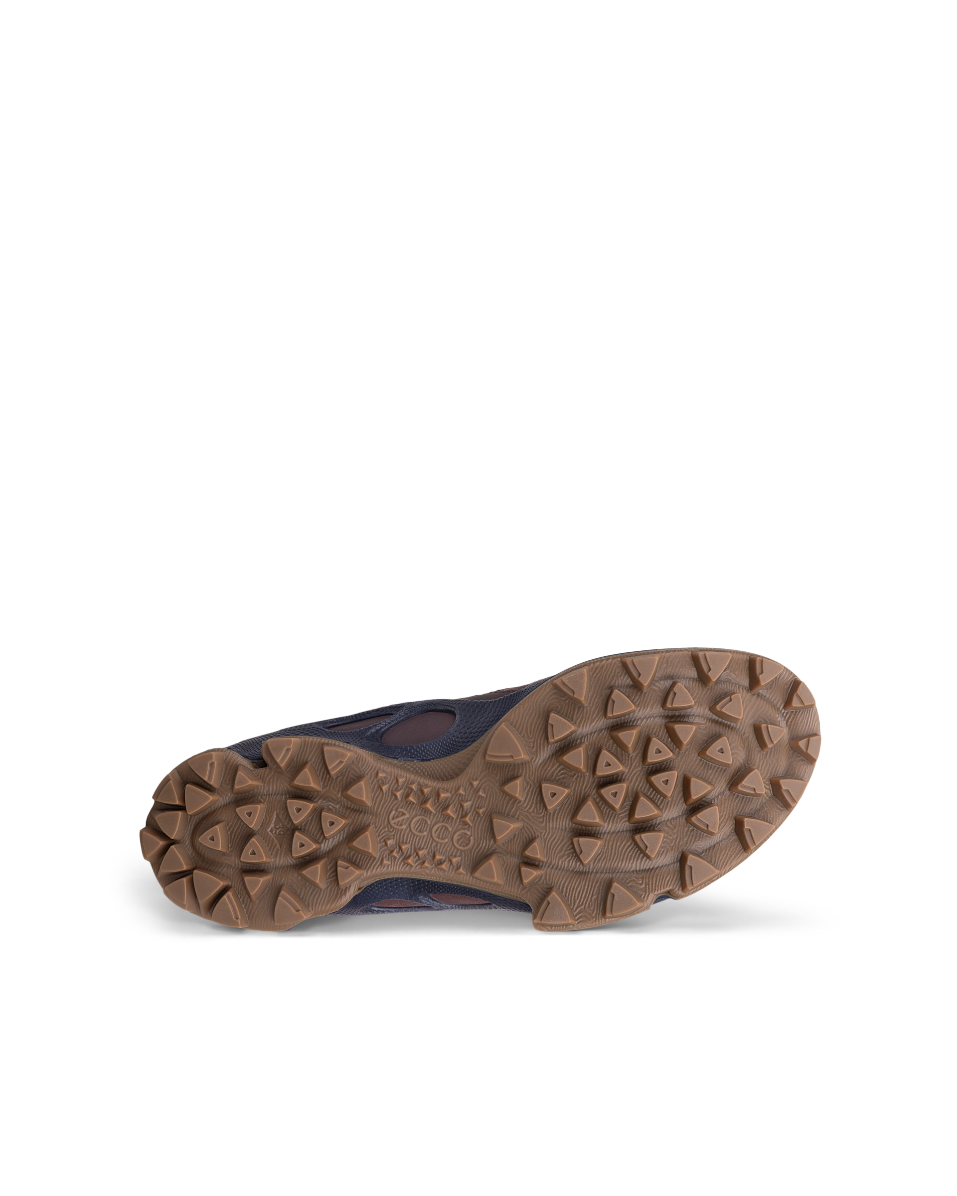 ECCO BIOM C-TRAIL — Brown