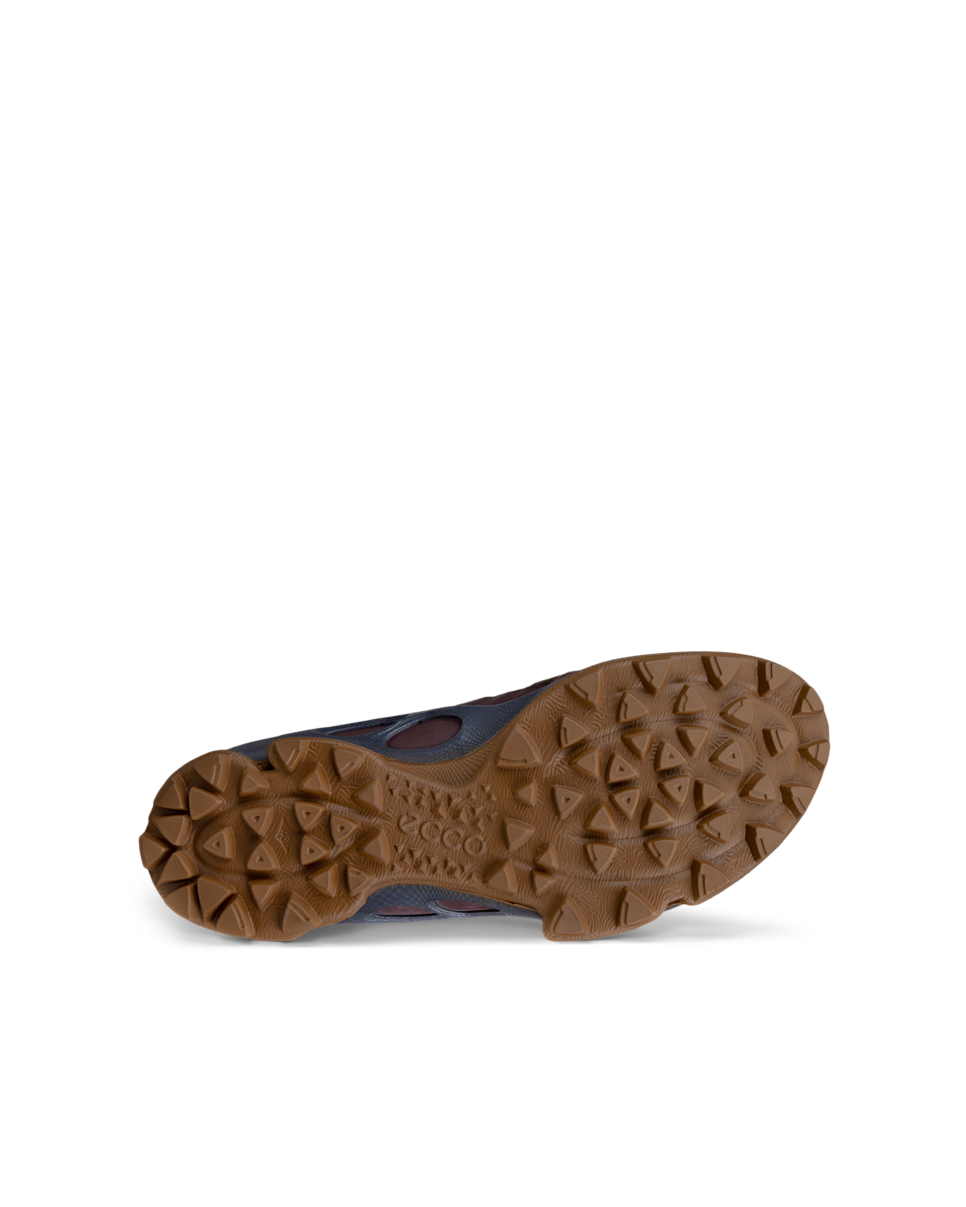 ECCO BIOM C-TRAIL — Brown