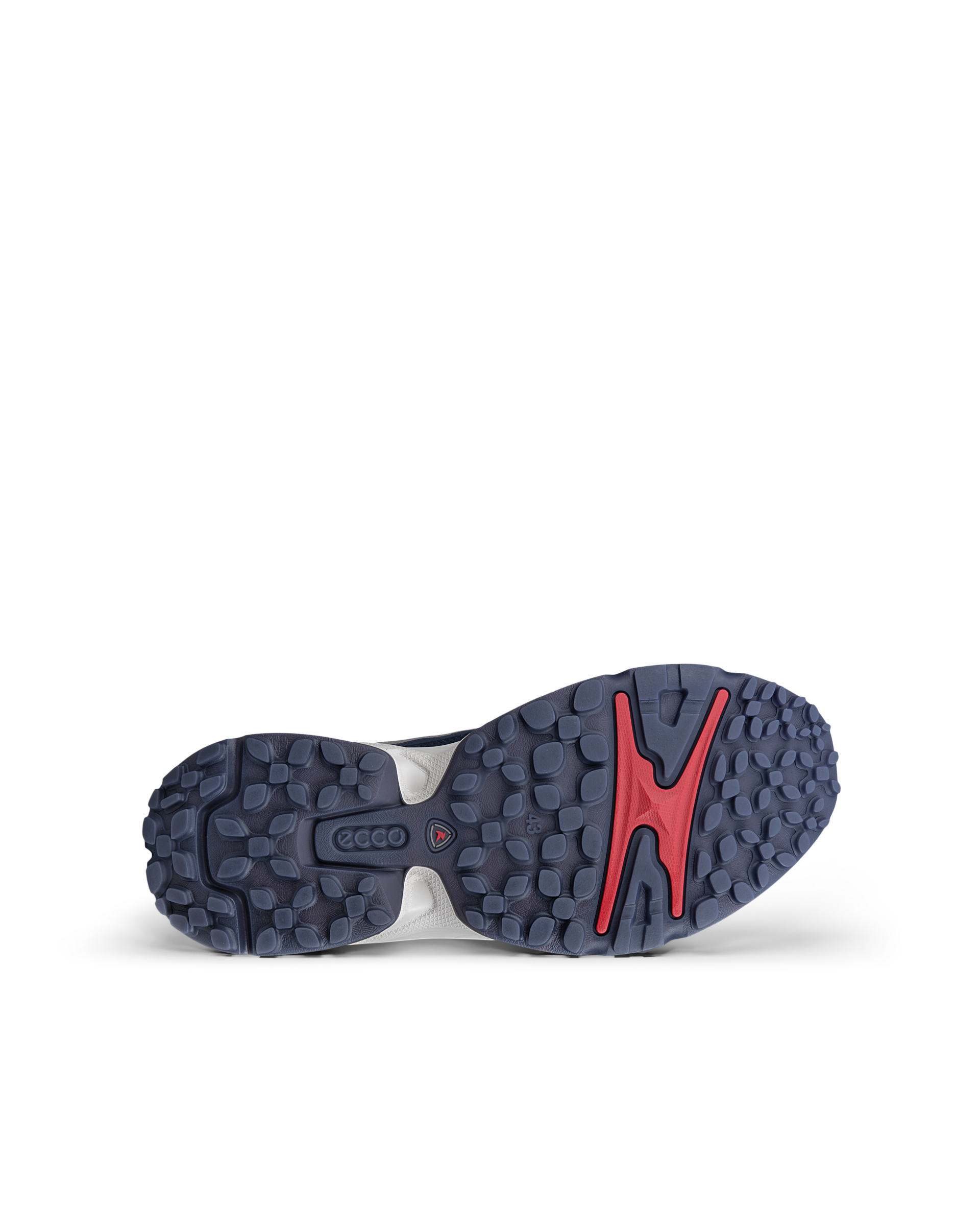 ECCO Receptor XP — Blue