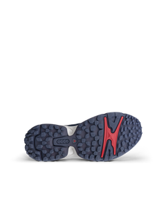 ECCO Receptor XP — Blue 4