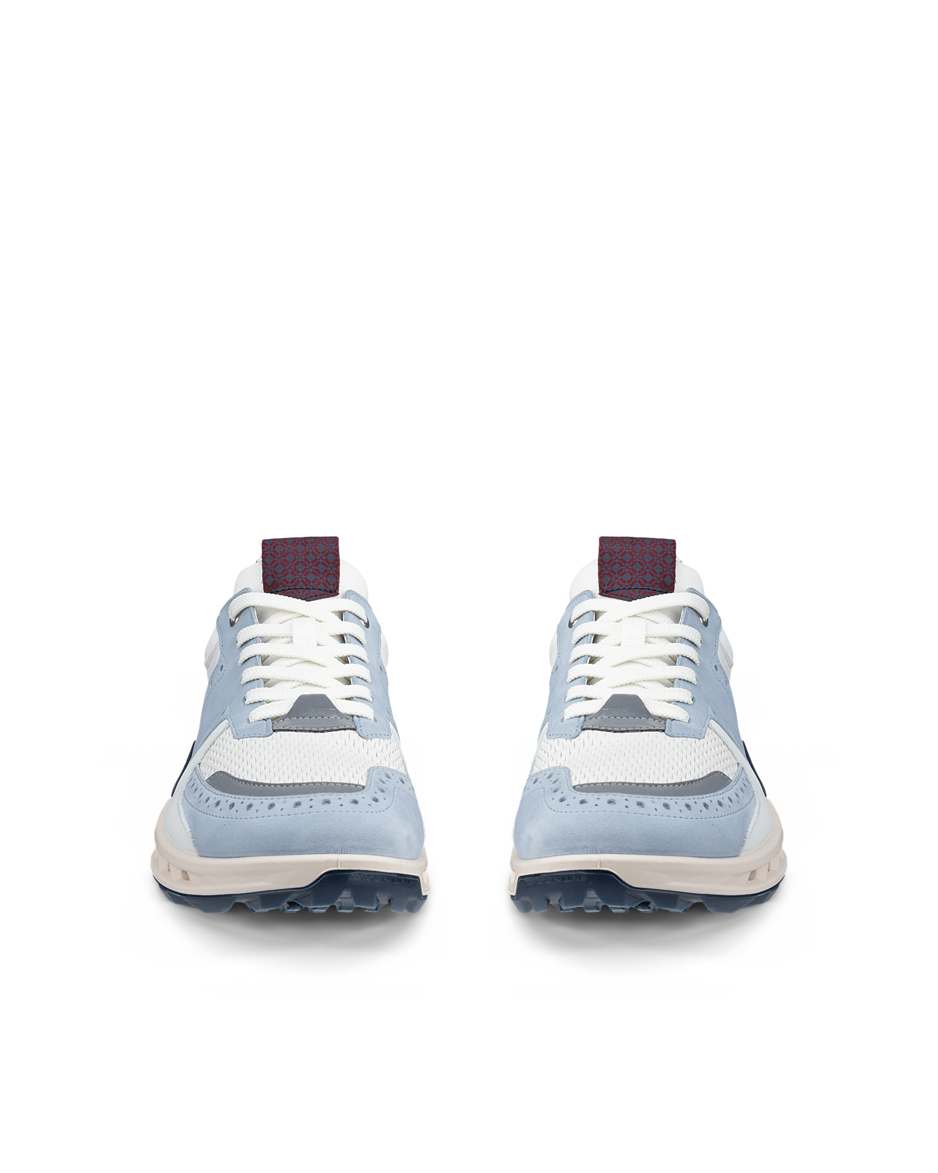 ECCO GOLF BIOM C4 MEN メンズ レザーGore-Texゴルフシューズ | マルチ