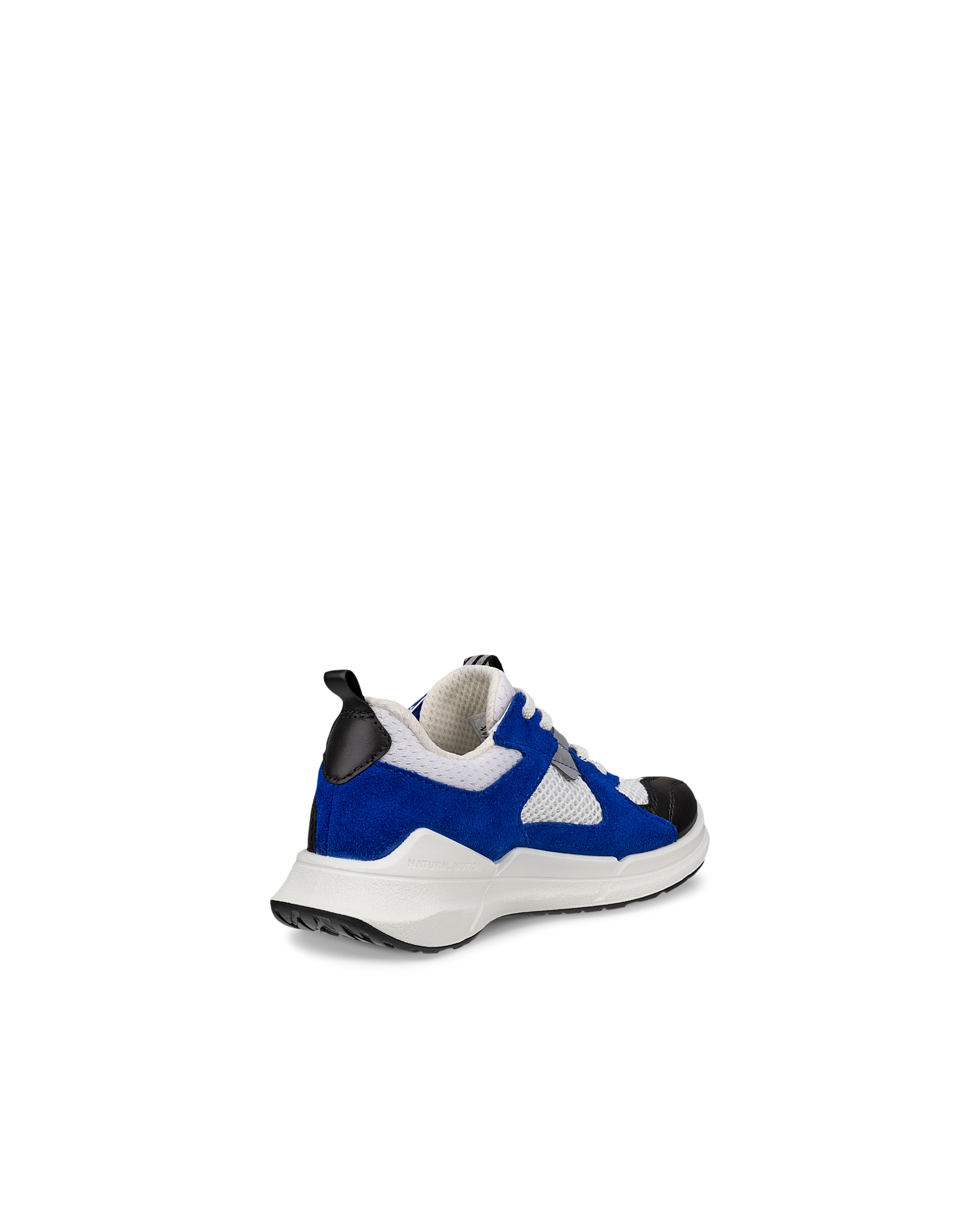 ECCO BIOM 2.2 — Blue