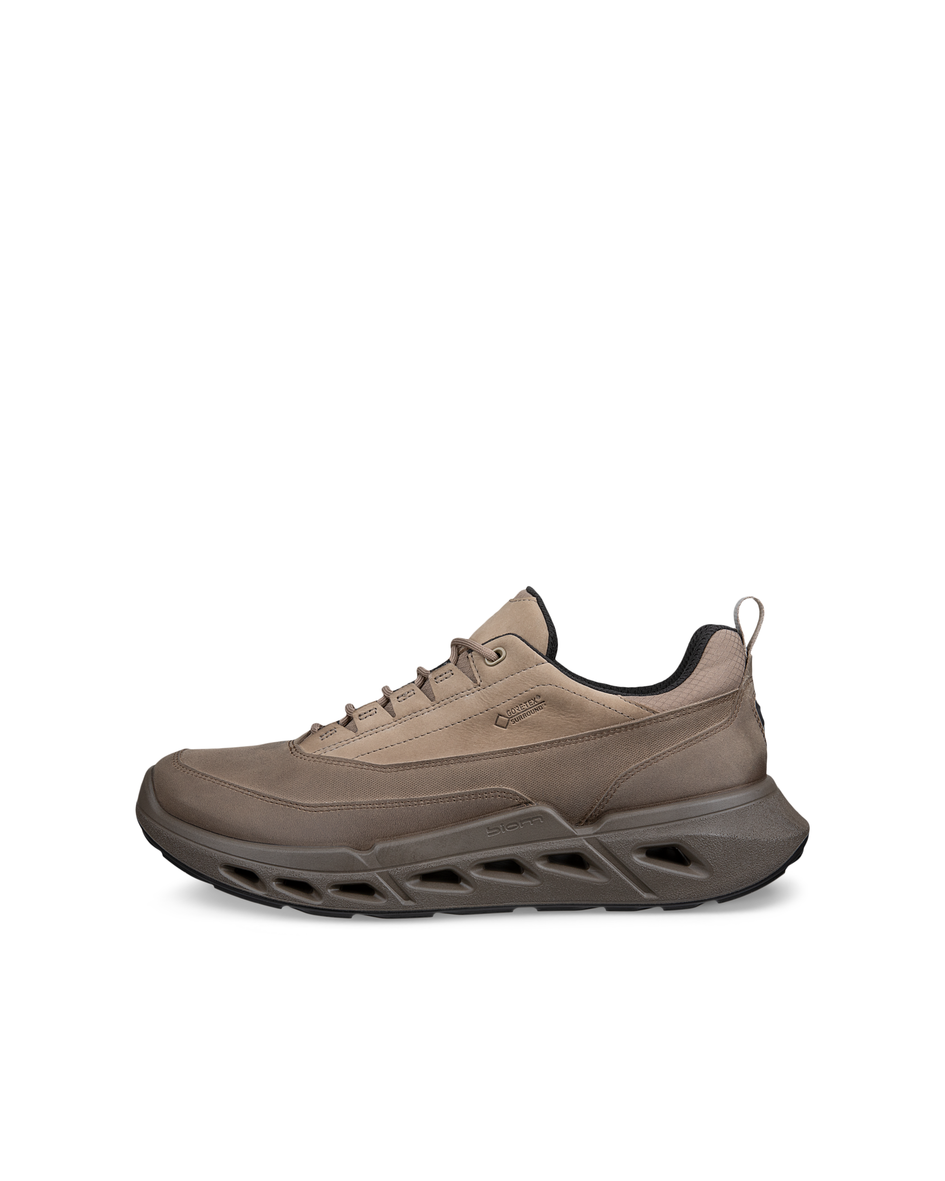 ECCO Biom 720 Gore-Tex — Brown
