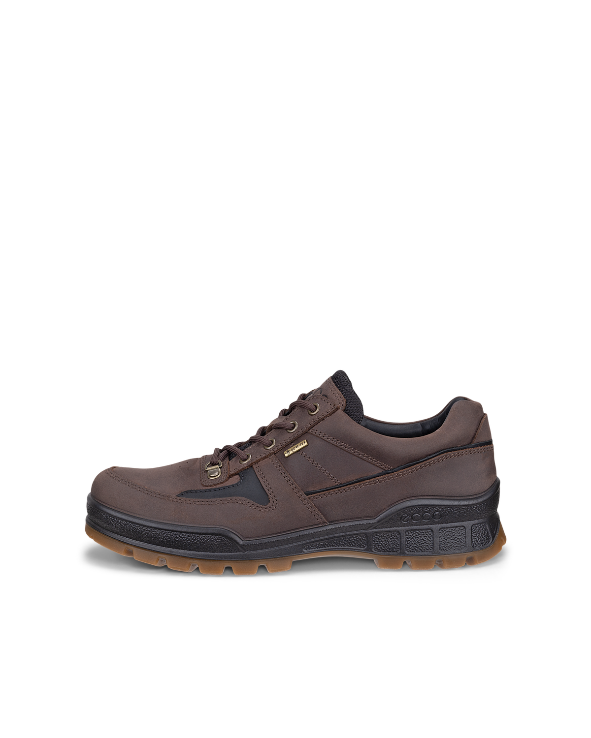 ECCO Track 25 — Brown