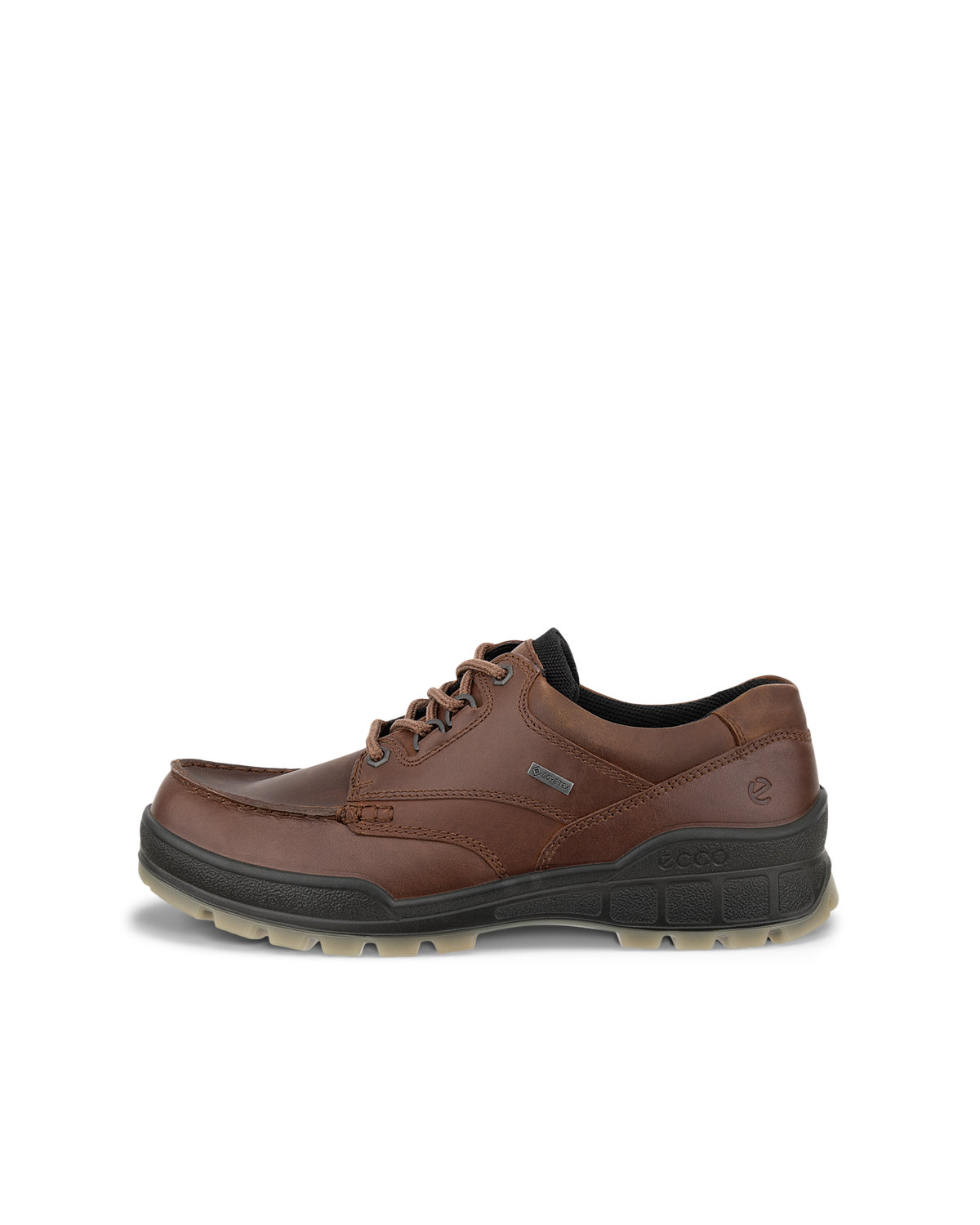 ECCO Track 25 — Brown