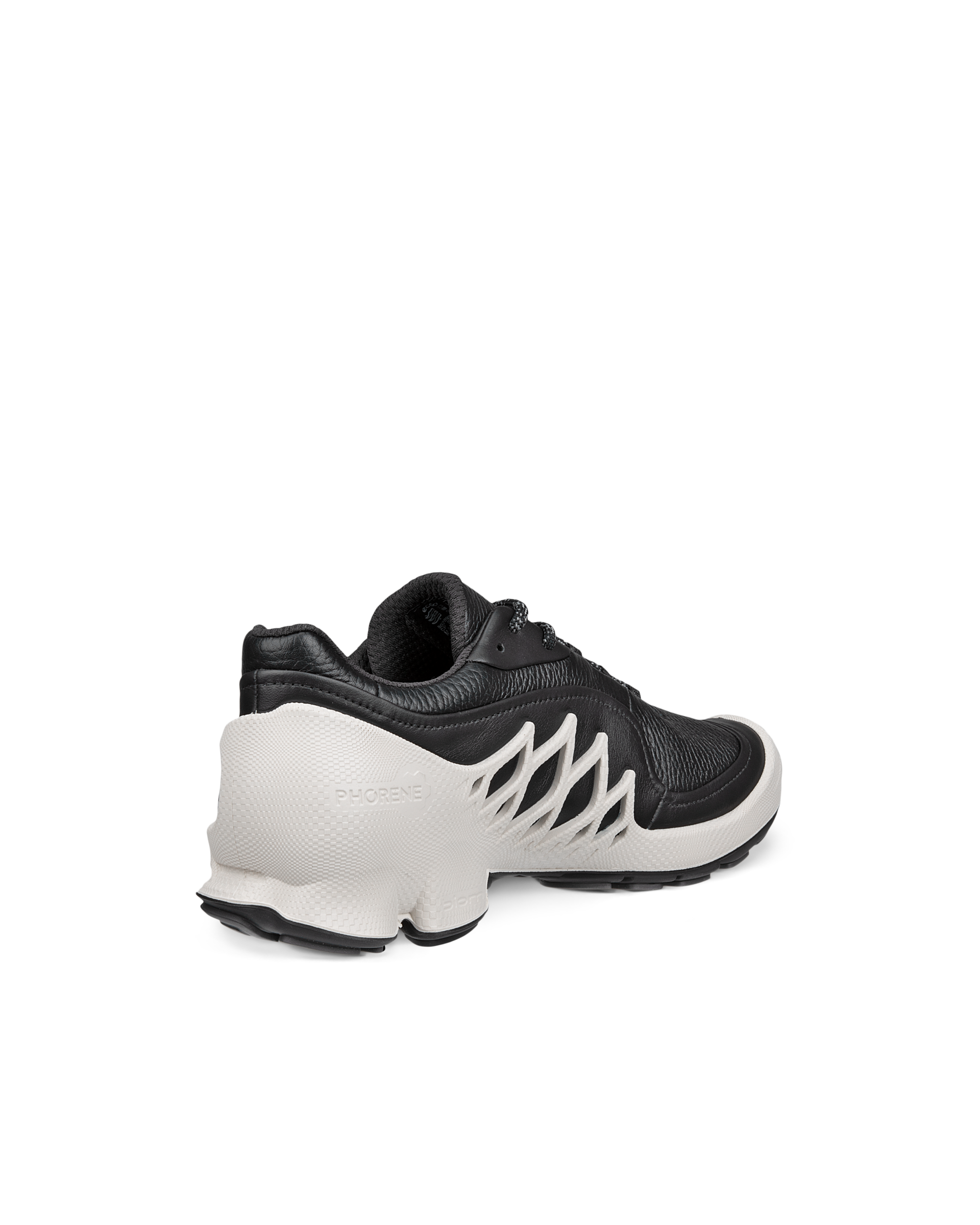 ECCO BIOM AEX — Black