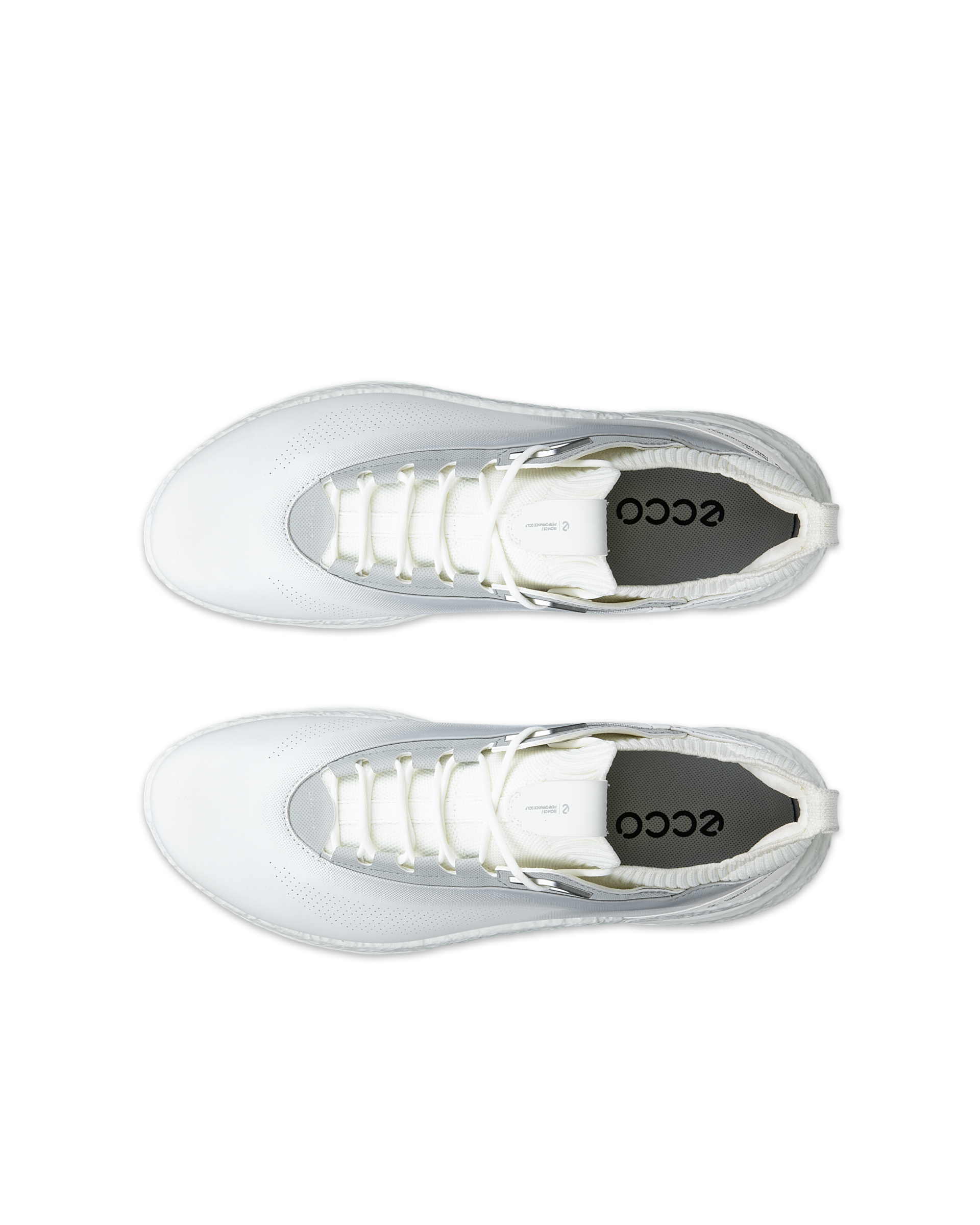 ECCO GOLF BIOM C5 MEN メンズ レザーGore-Texゴルフシューズ | ホワイト