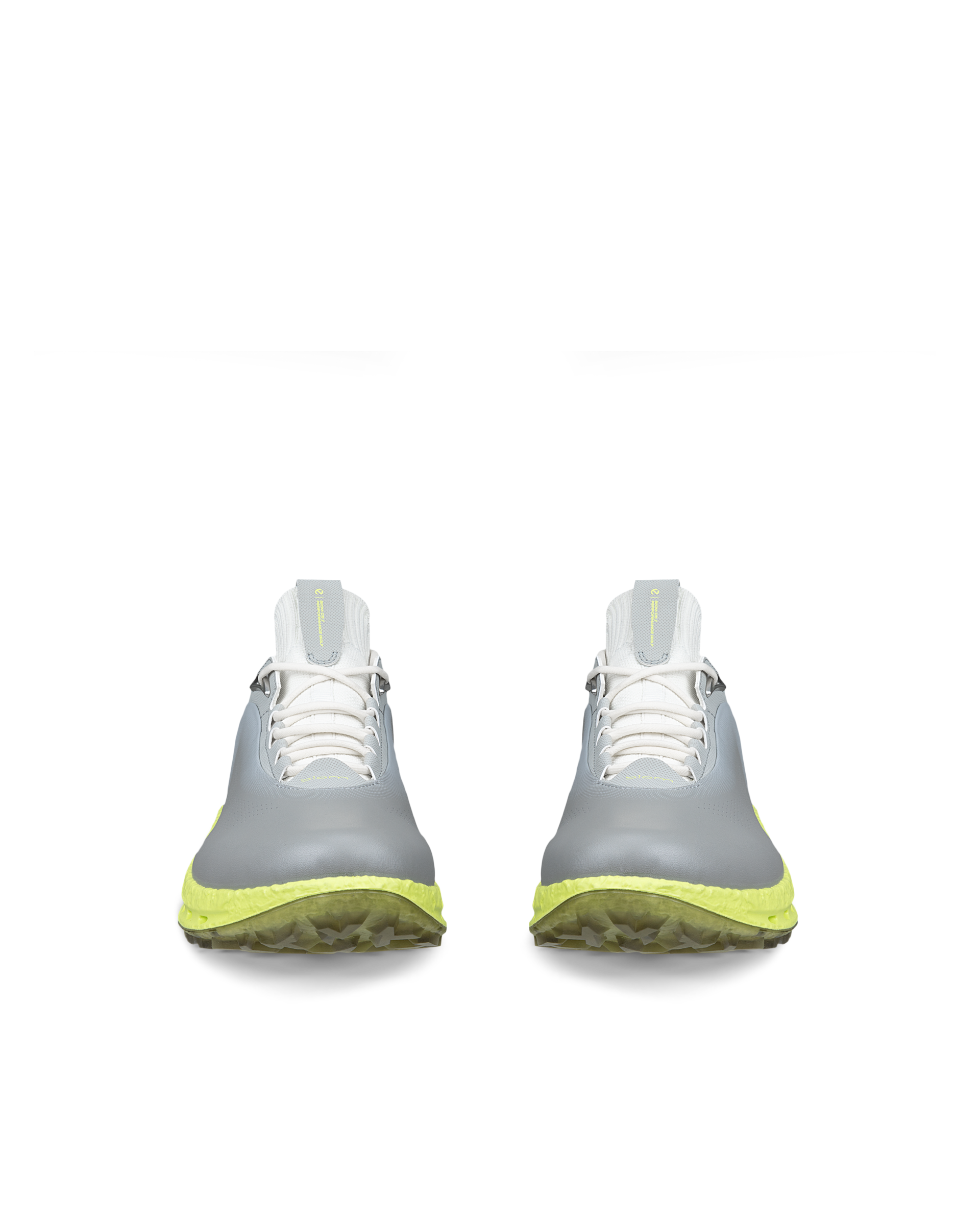 ECCO Golf Biom C5 — Gray