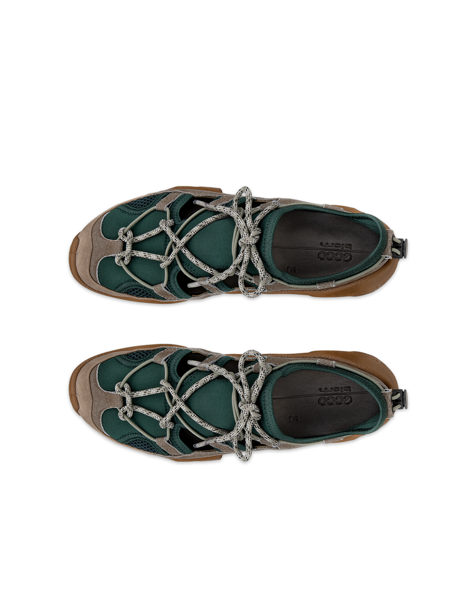 ECCO BIOM C-TRAIL — Brown