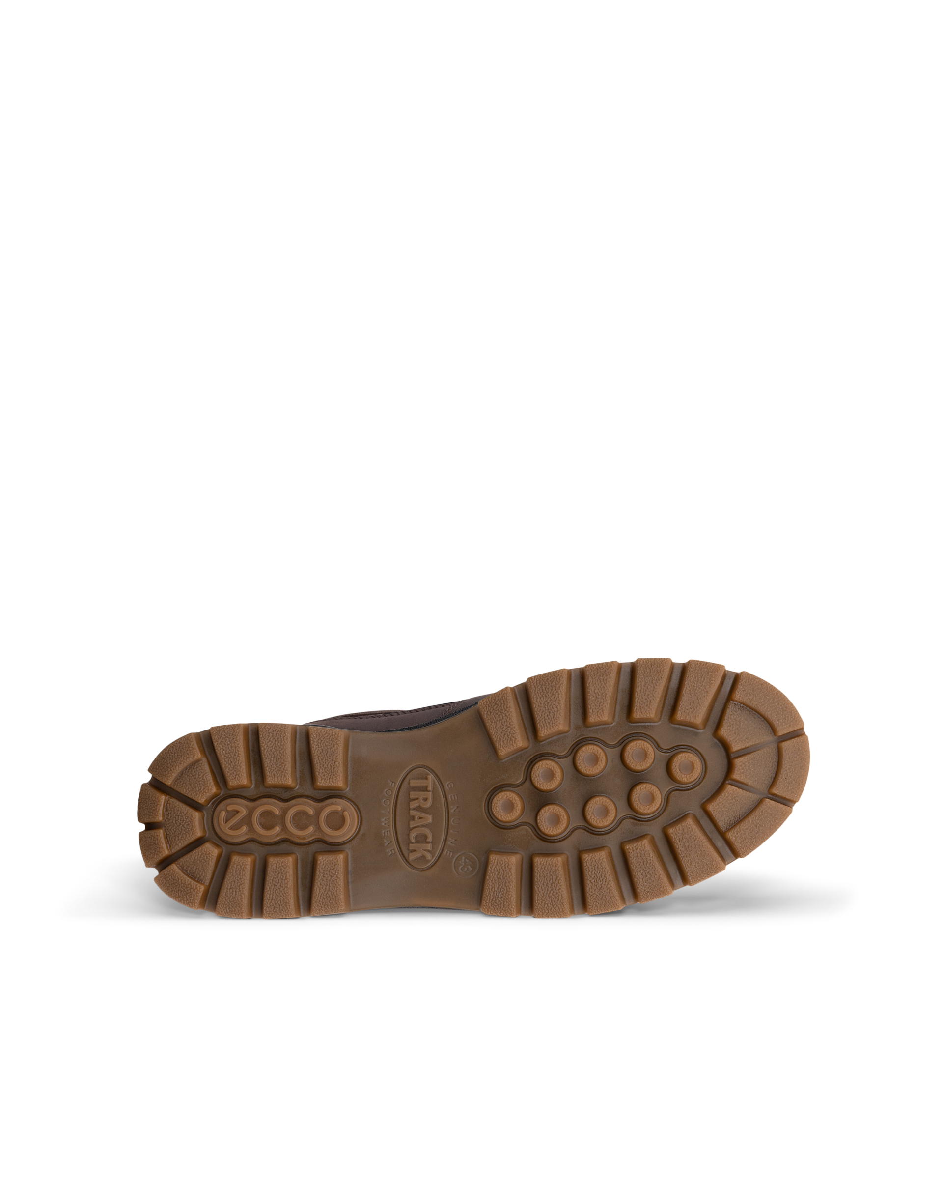 ECCO Track 25 — Brown
